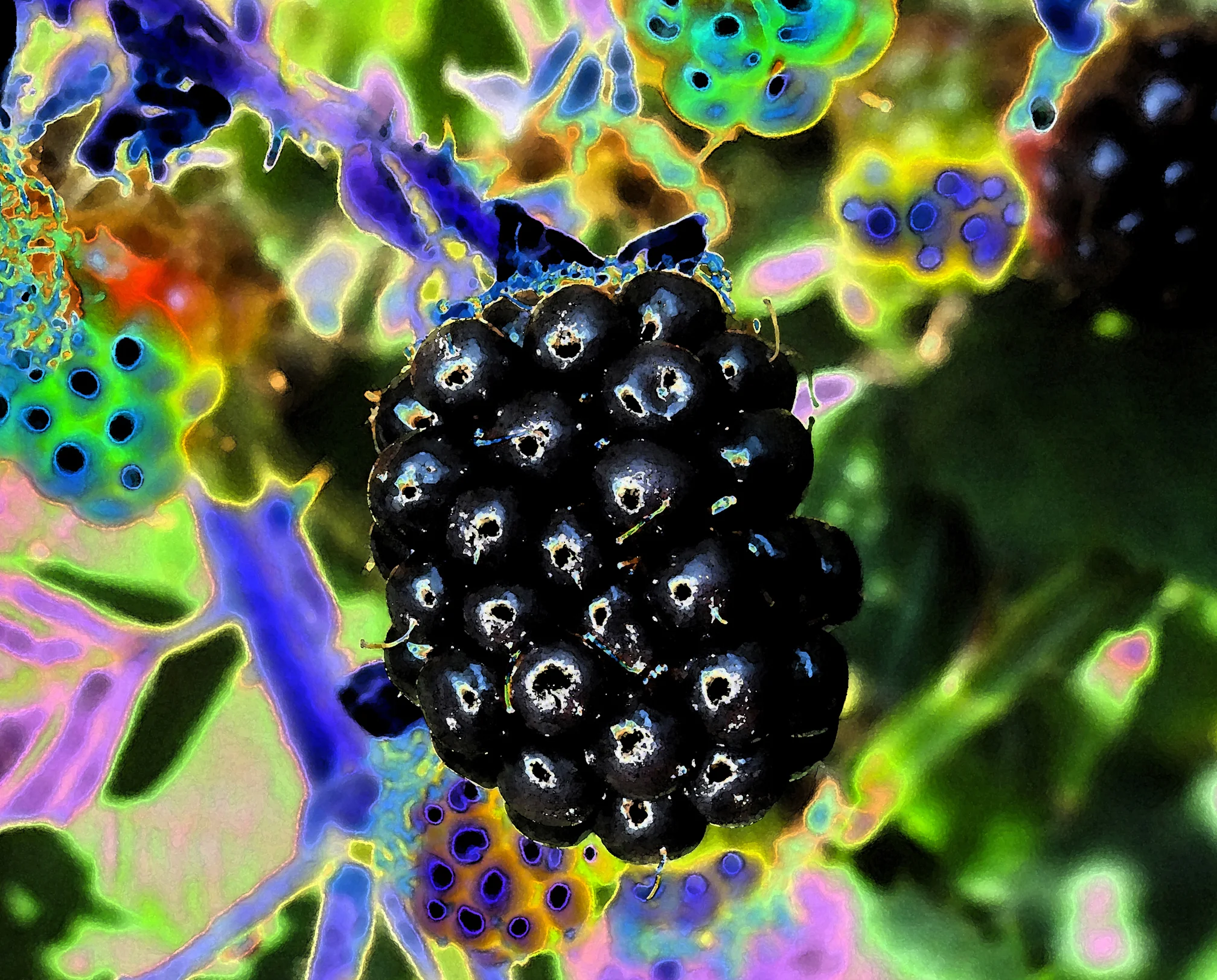 crop 3.jpg