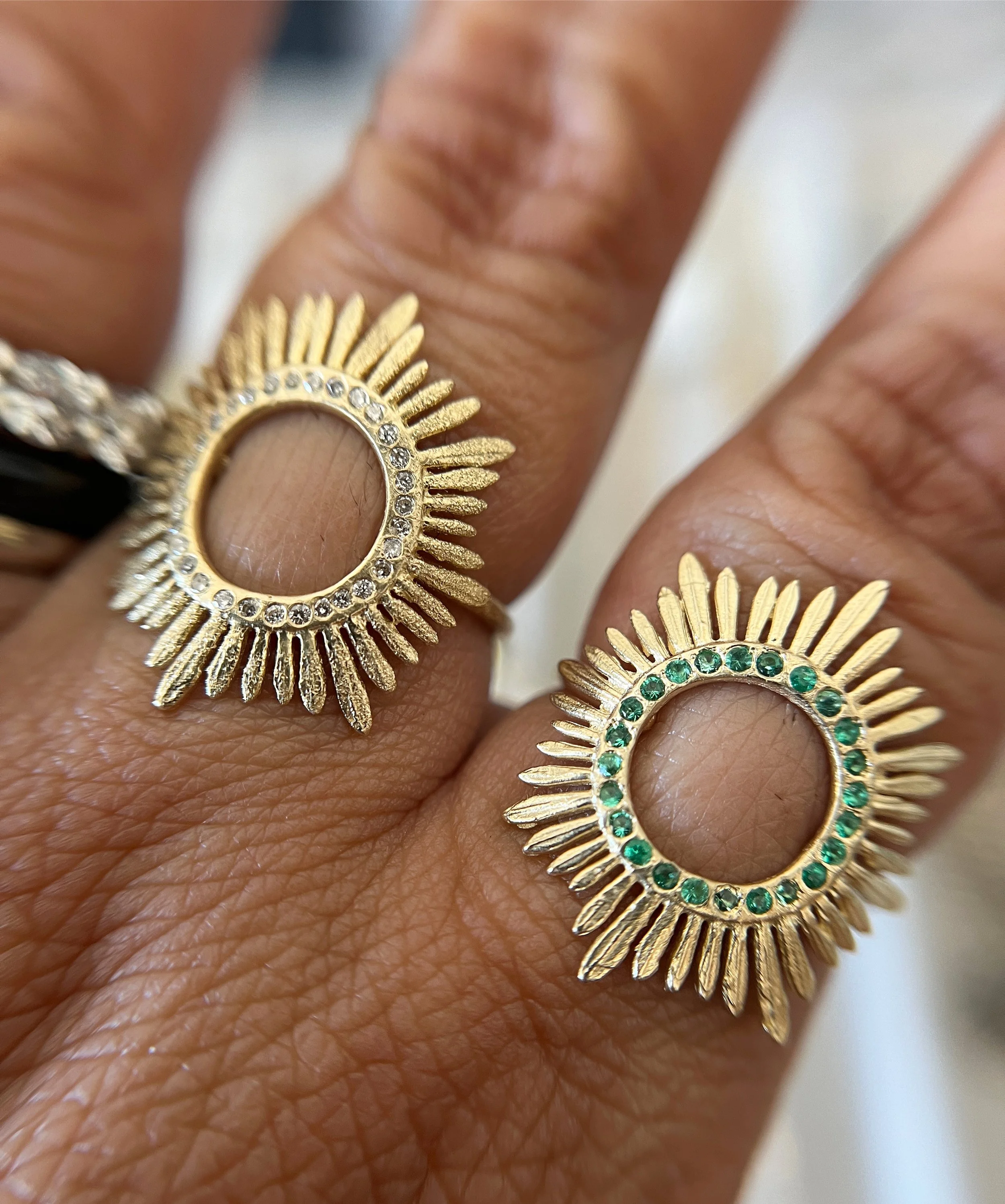 acanthus_southernrings.JPG