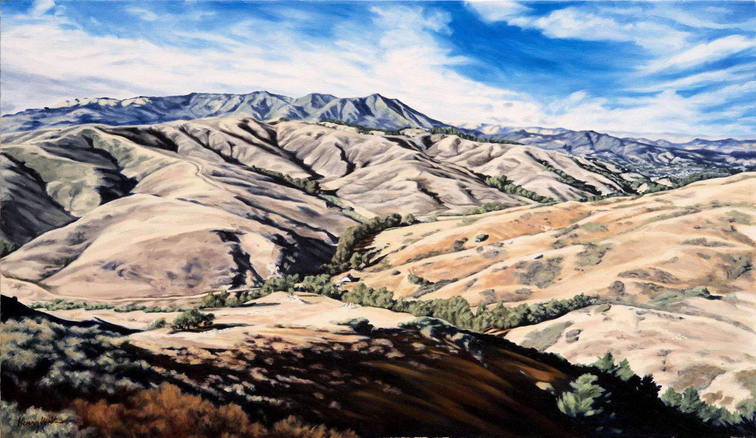 Mt. Tamalpais from Hill 88