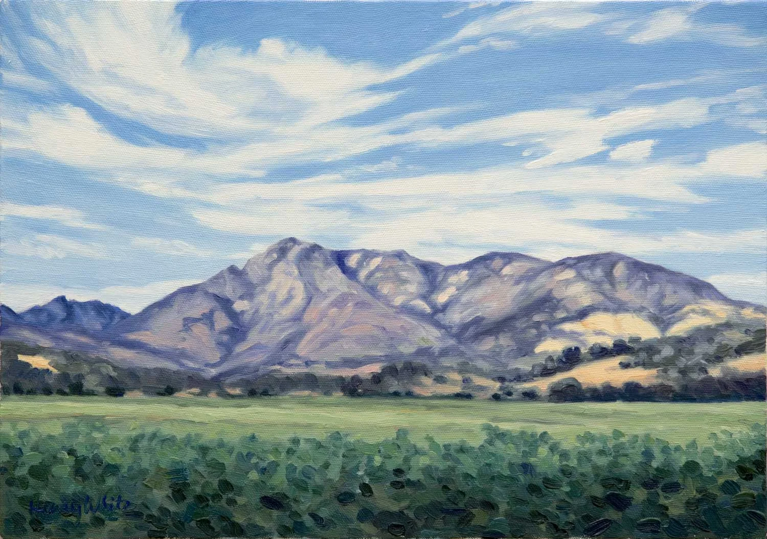 Mt. St. Helena, Knights Valley