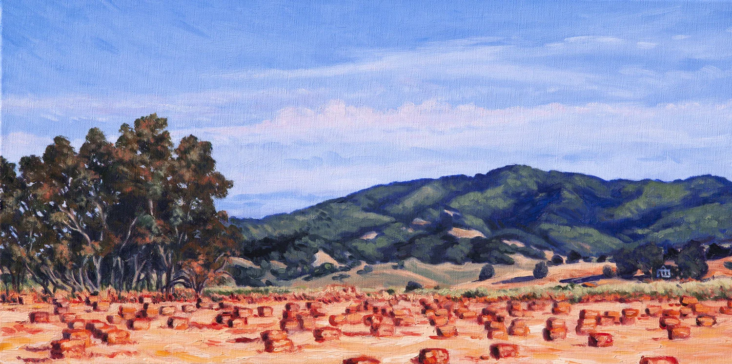 Summer Hay