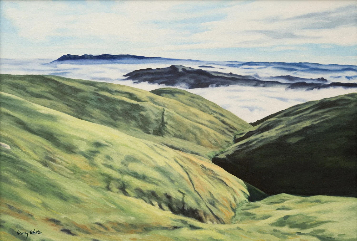 Marin Archipelago