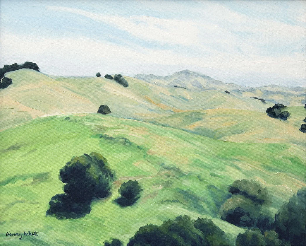 Mt. Diablo from Petaluma