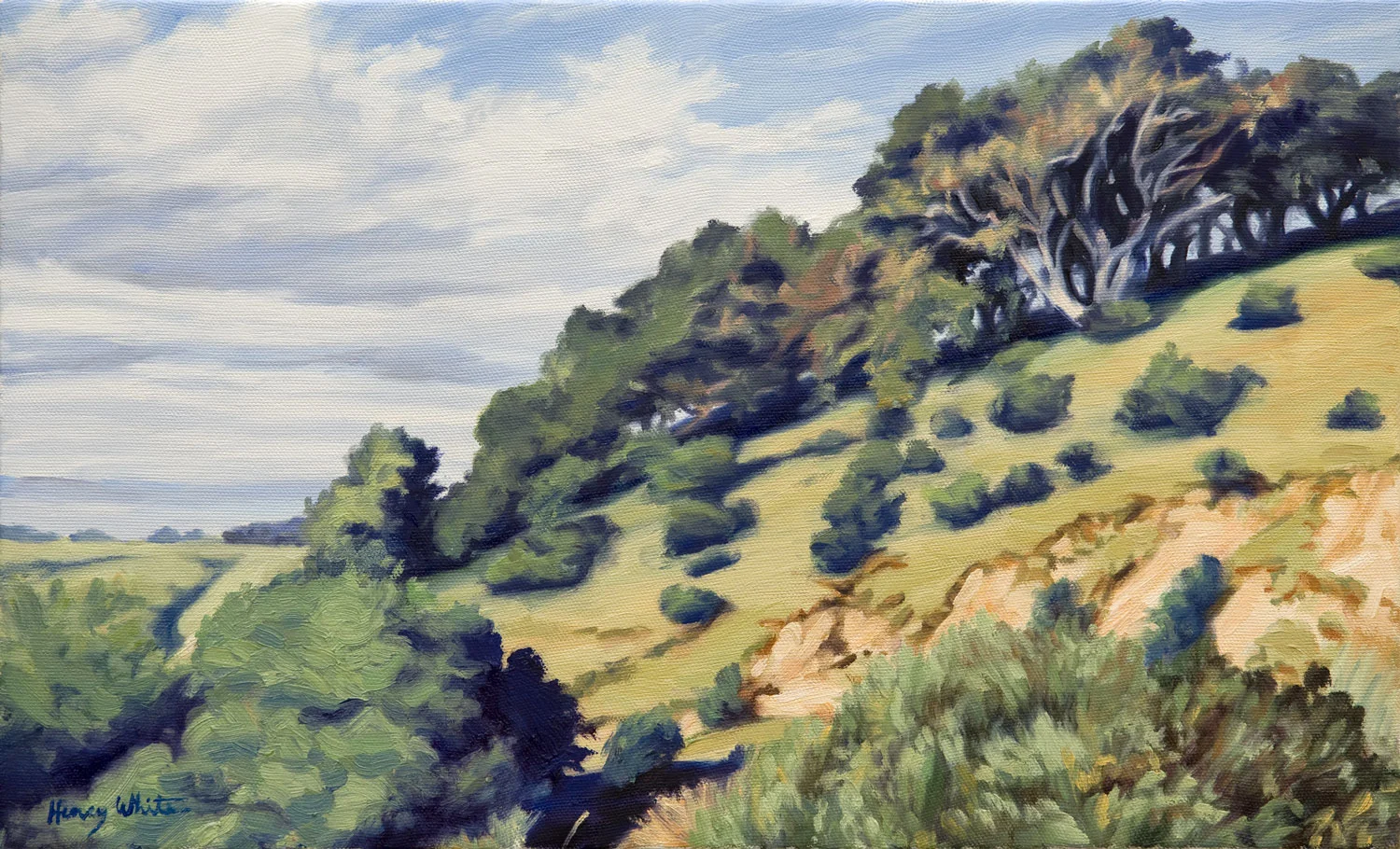 Arianrhod's Hill