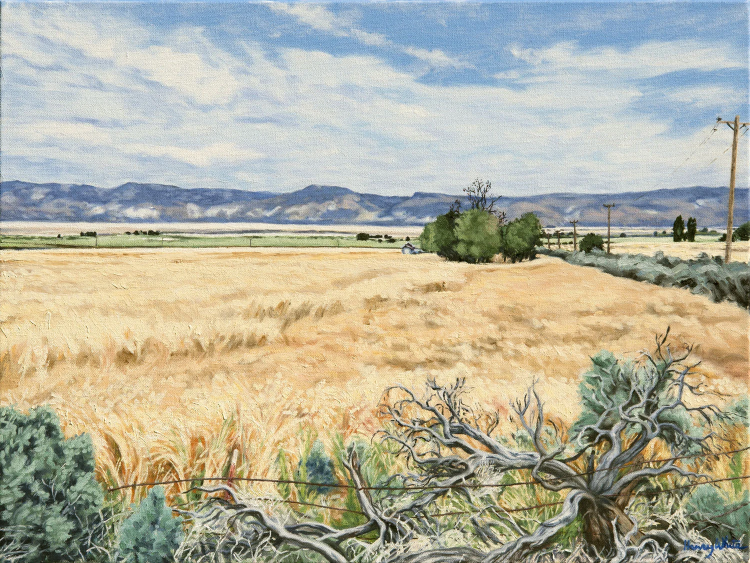 Surprise Valley Hay Field