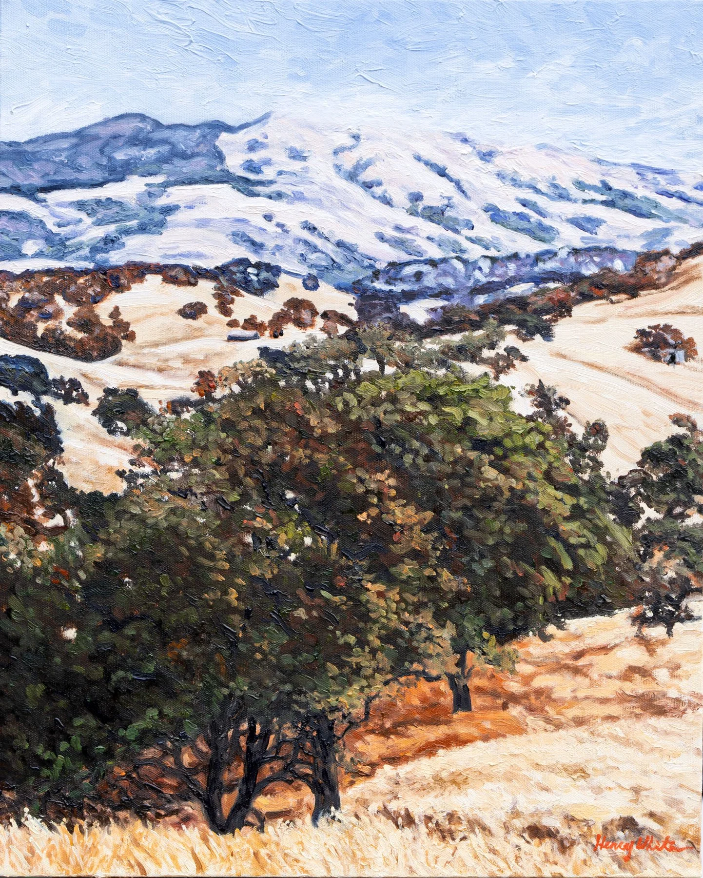 Foothills of Mt. Diablo