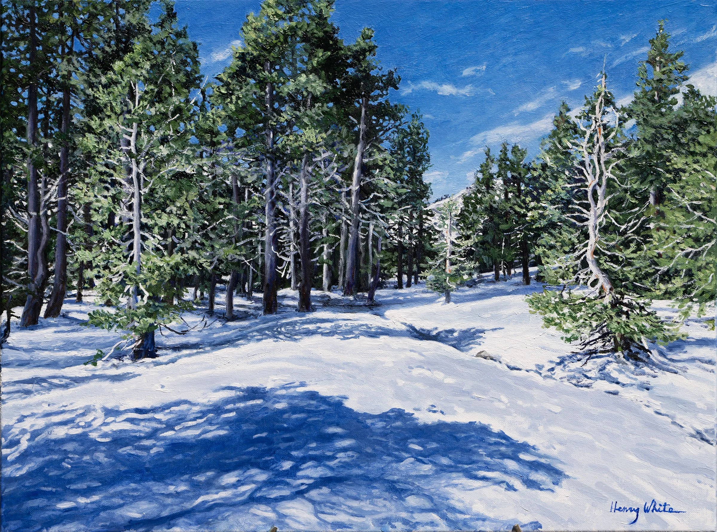 Tahoe Snow