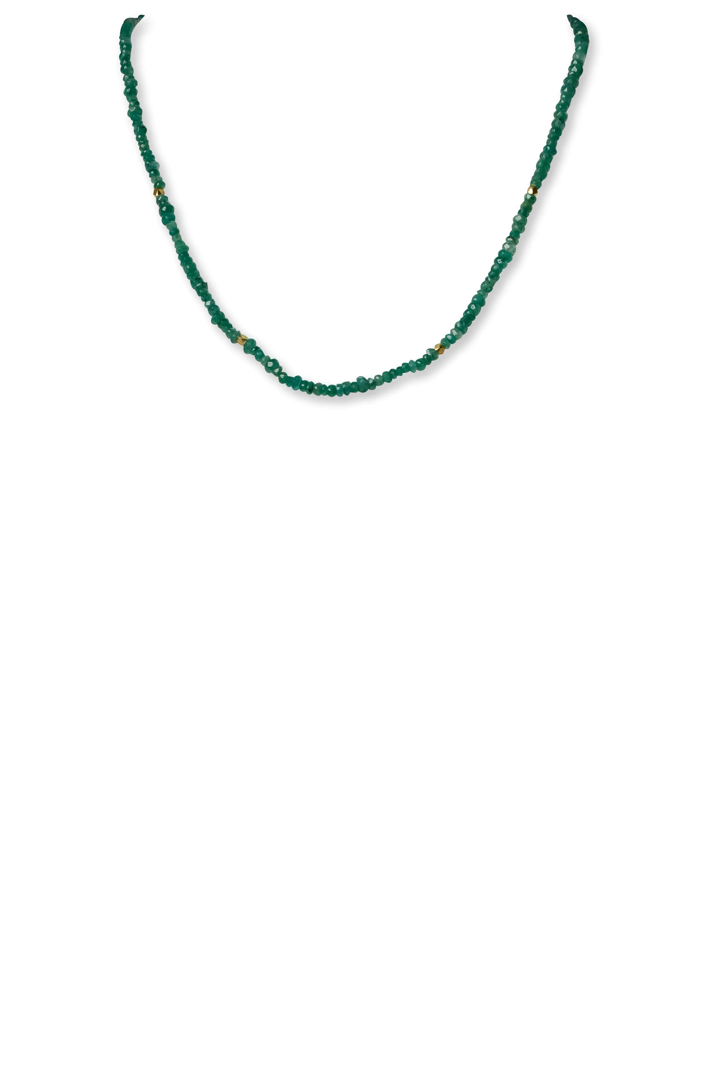 NGF-2480.jpg