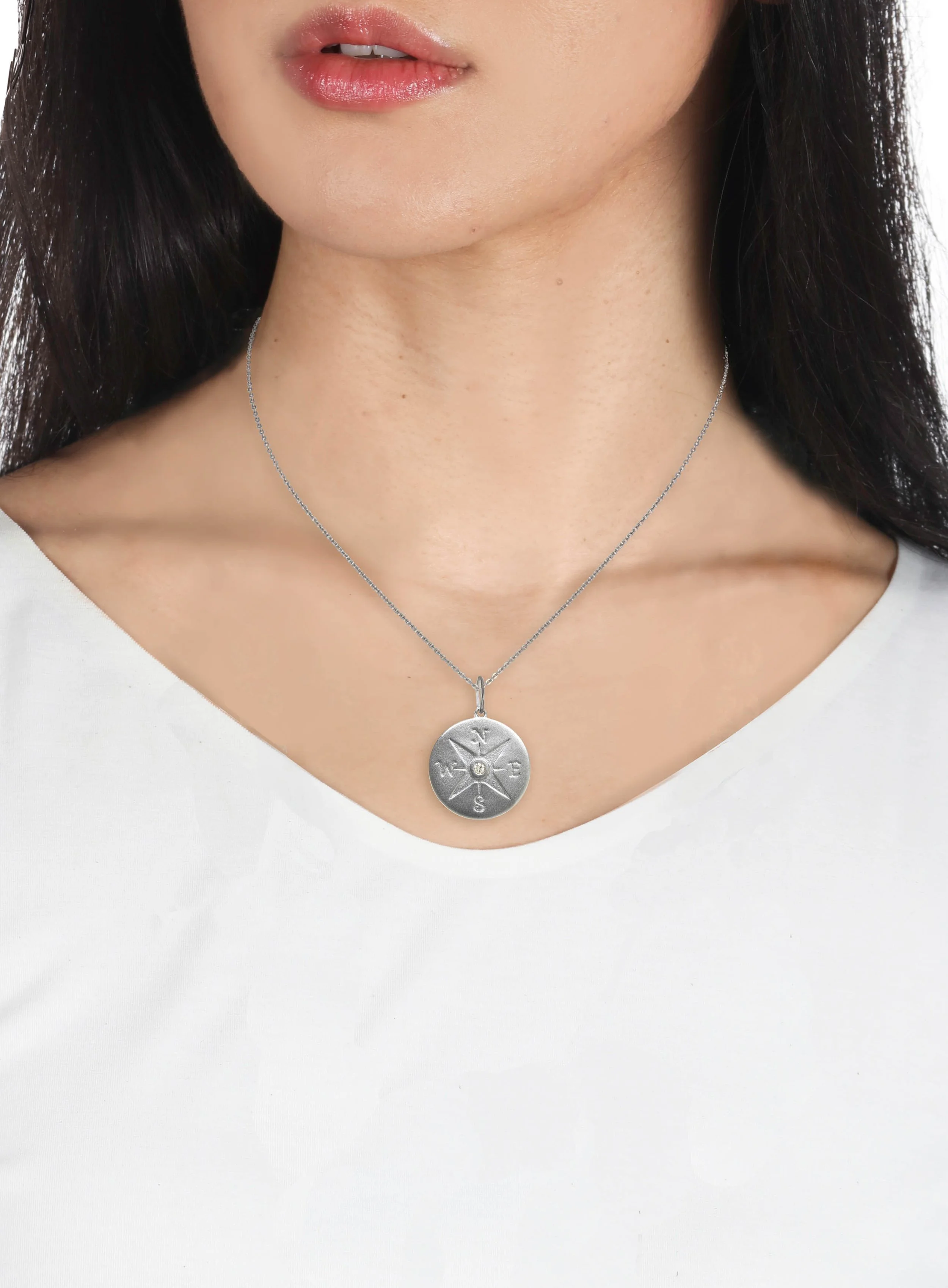 CHARM-Compass 2.jpg