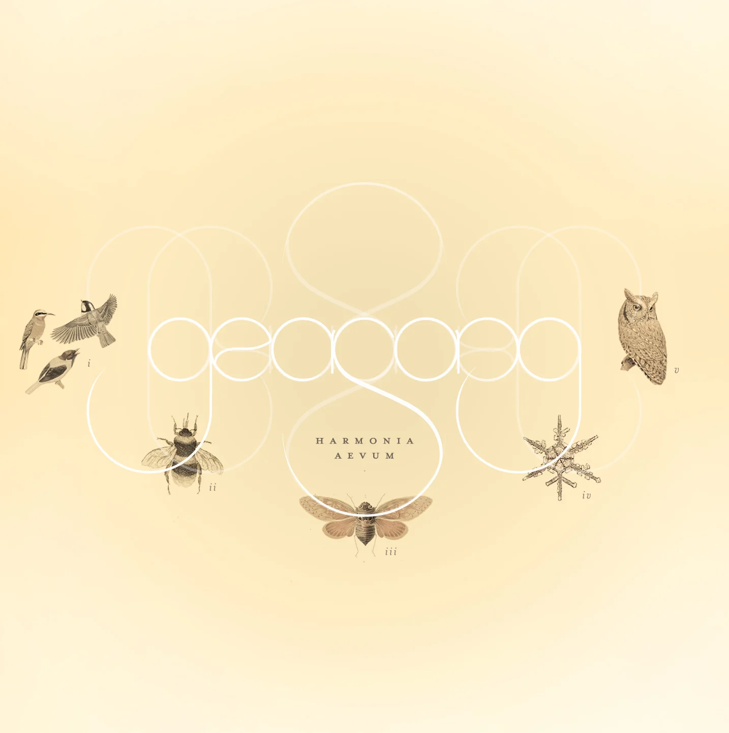 HarmoniaAevum2.jpg