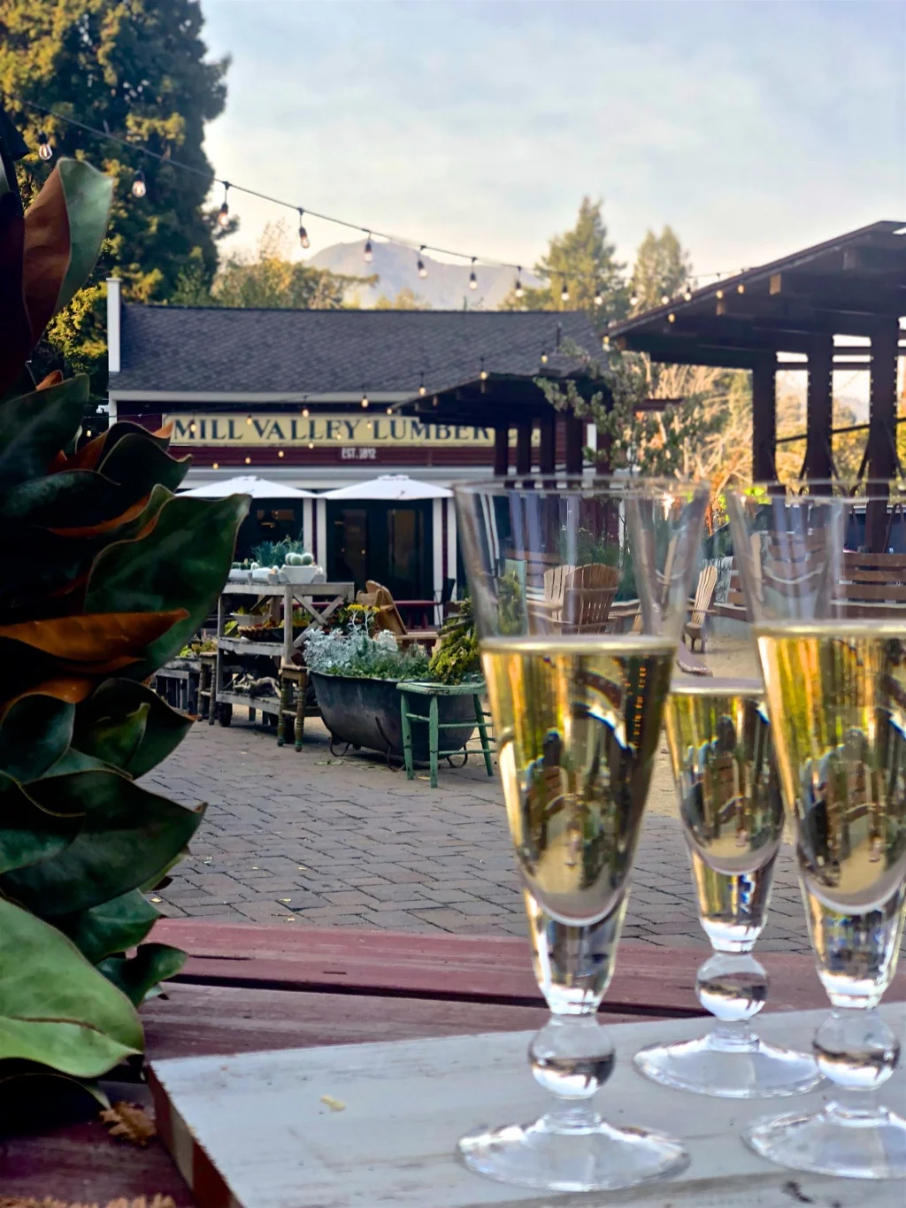 Enchanted Evenings at the Lumber Yard 