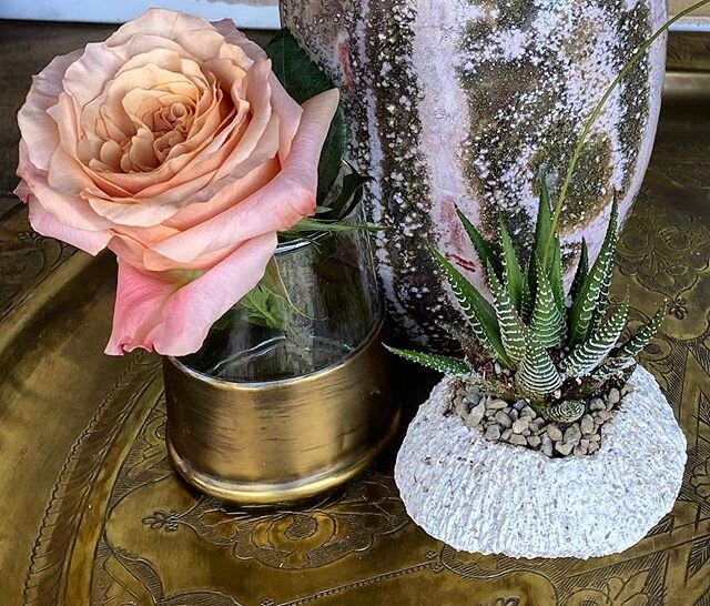 Saturday Vibes 🌞new beauty in my atelier today! Recently I visited my friend at his Studio @tazidesigns + acquired my favorite Moroccan vases for a single &ldquo;Carpe Diem&rdquo; rose for your bedside. + then my friend David @greencollarguydesigns 