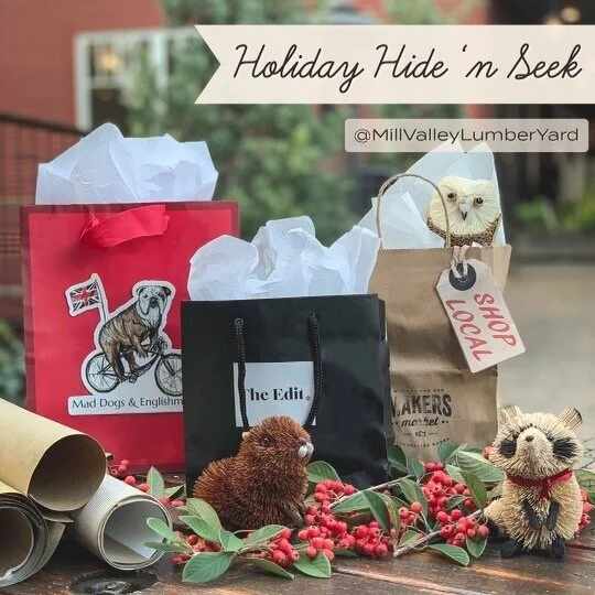 Holiday Hide 'n Seek
