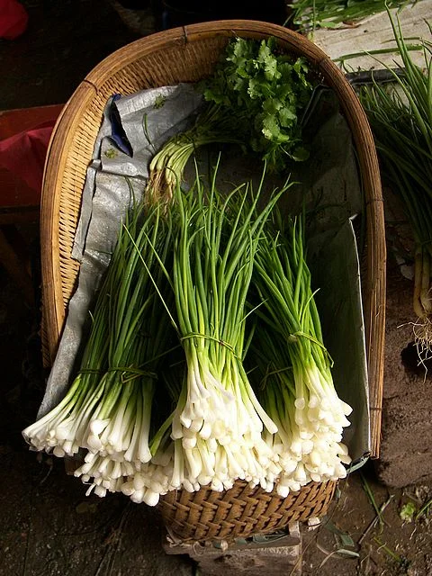 onion-chives-allium-schoenoprasum.jpg
