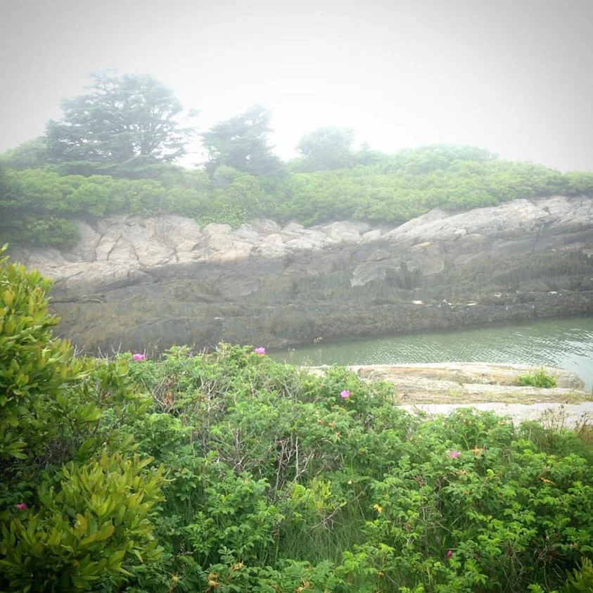 Misty morning in Maine