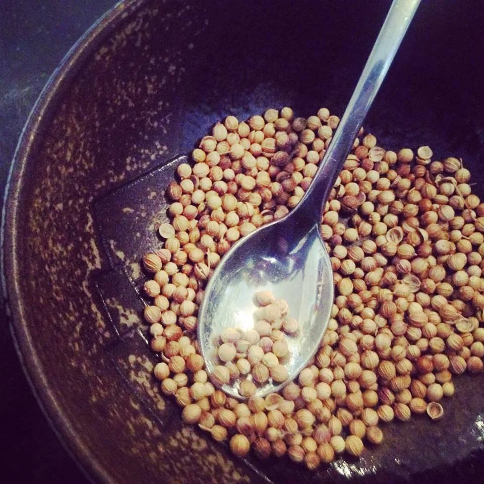 coriander.jpg