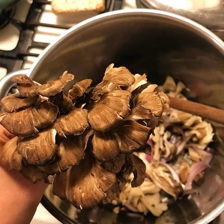 maitake soup pot.jpg