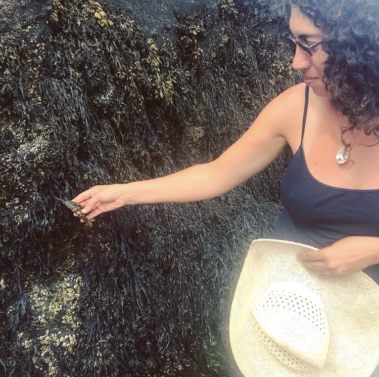 jade and bladderwrack.jpg