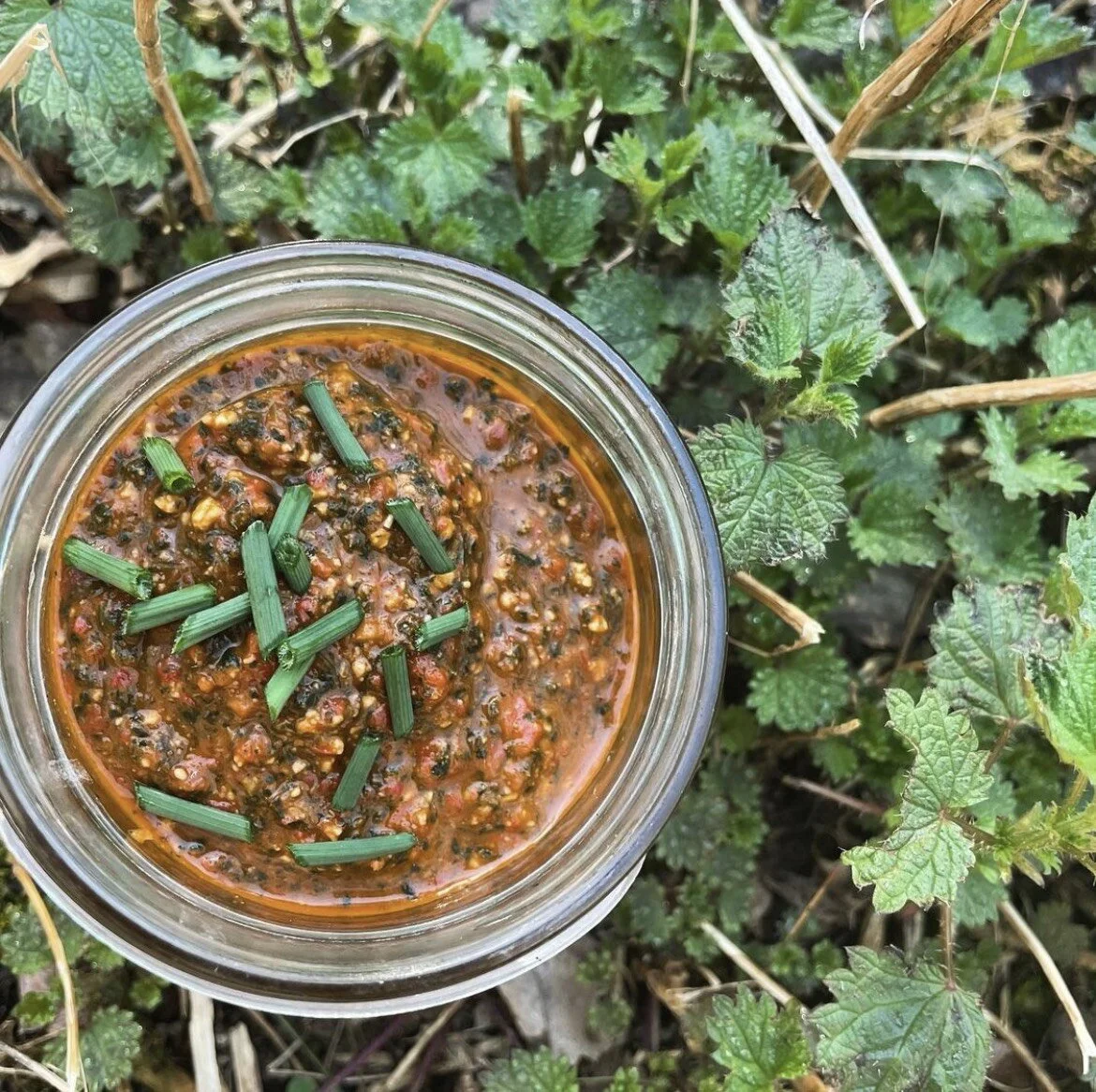 Nettle, Garlic Mustard & Roasted Red Pepper Pesto — Milk & Honey Herbs