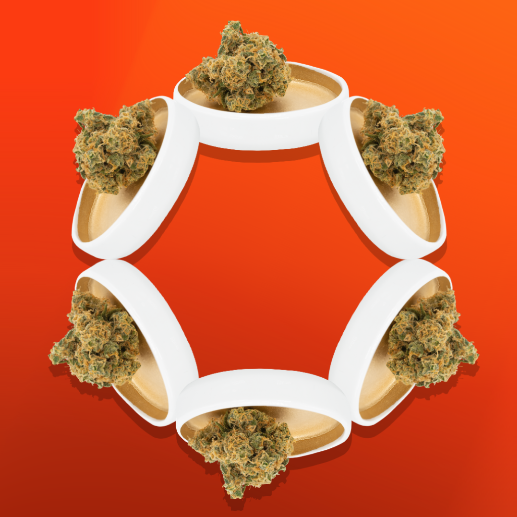 Custom Design for cornerstone wellness 