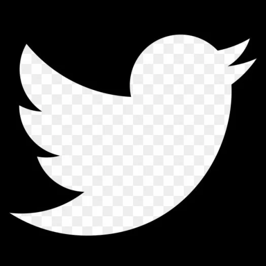 twitter icon 2.png