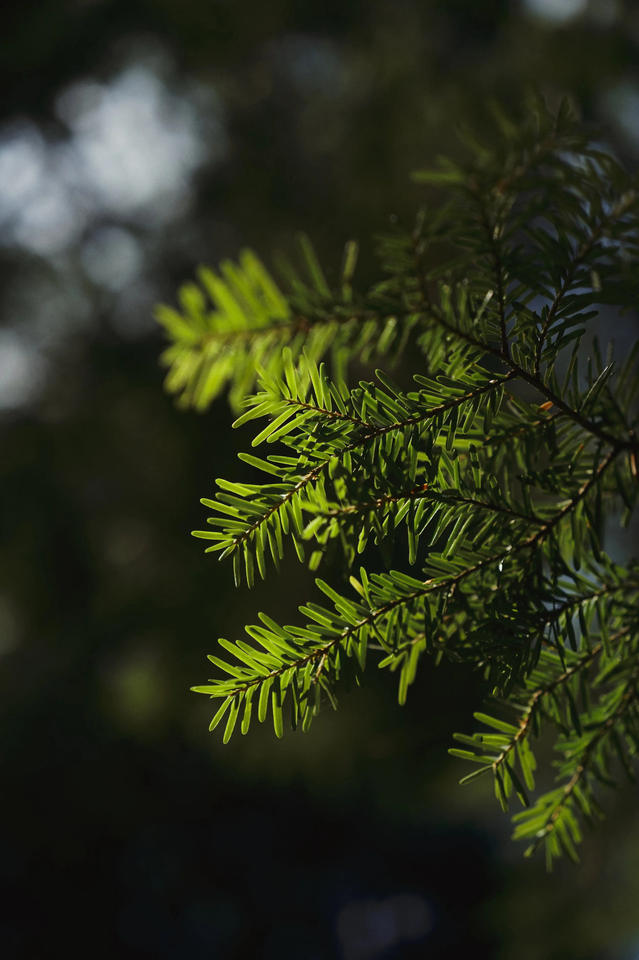 250911-14-45-57-LEICA Q3 43-T1011660-EDIT.jpg