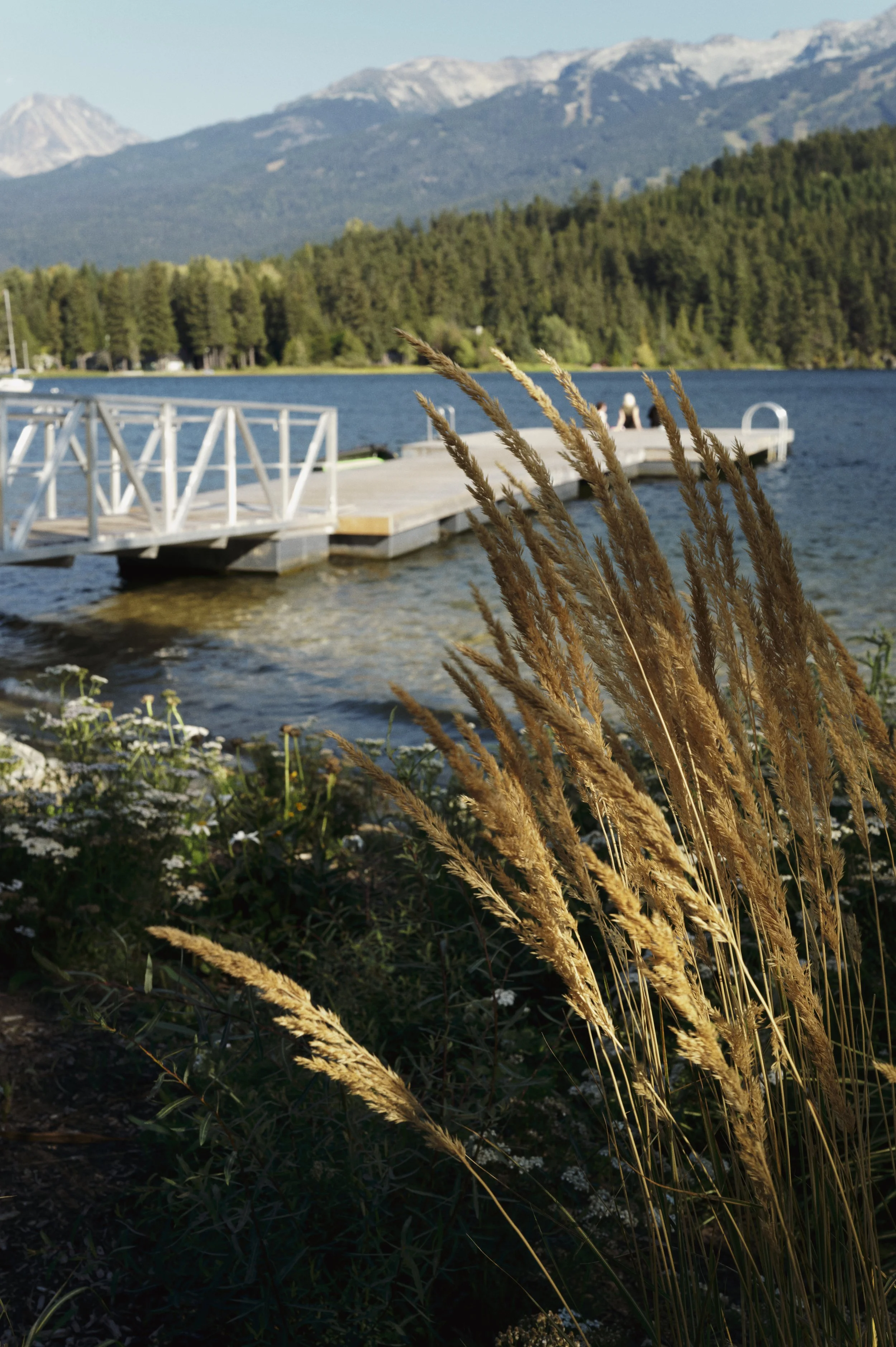 250911-19-17-50-LEICA Q3 43-T1011777-EDIT.jpg