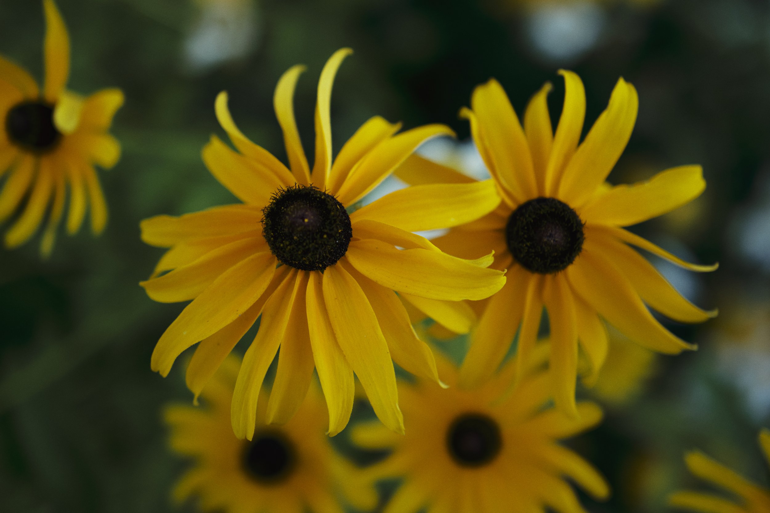 250911-19-31-47-LEICA Q3 43-T1011784-EDIT.jpg