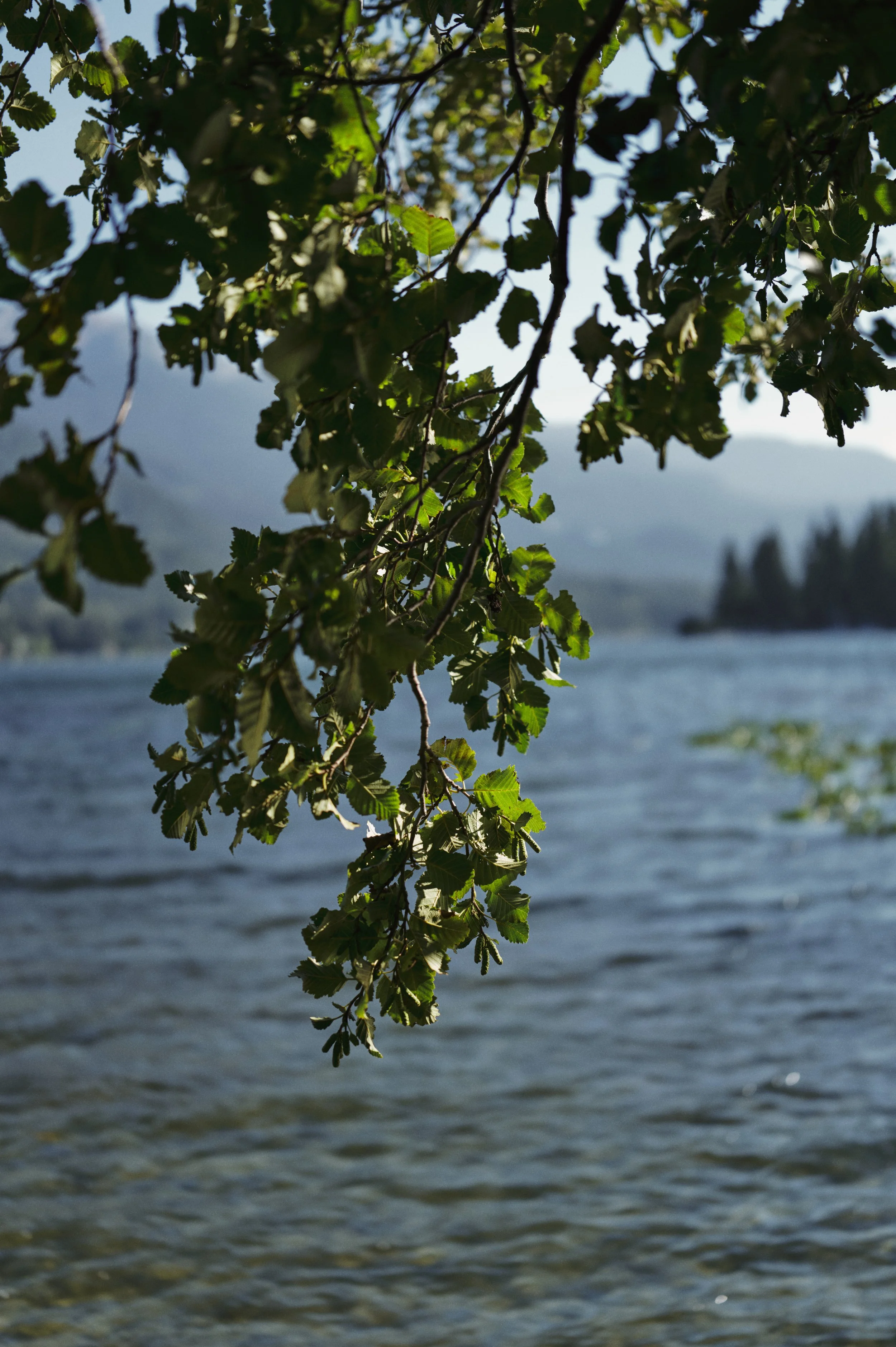 250911-19-33-14-LEICA Q3 43-T1011790-EDIT.jpg