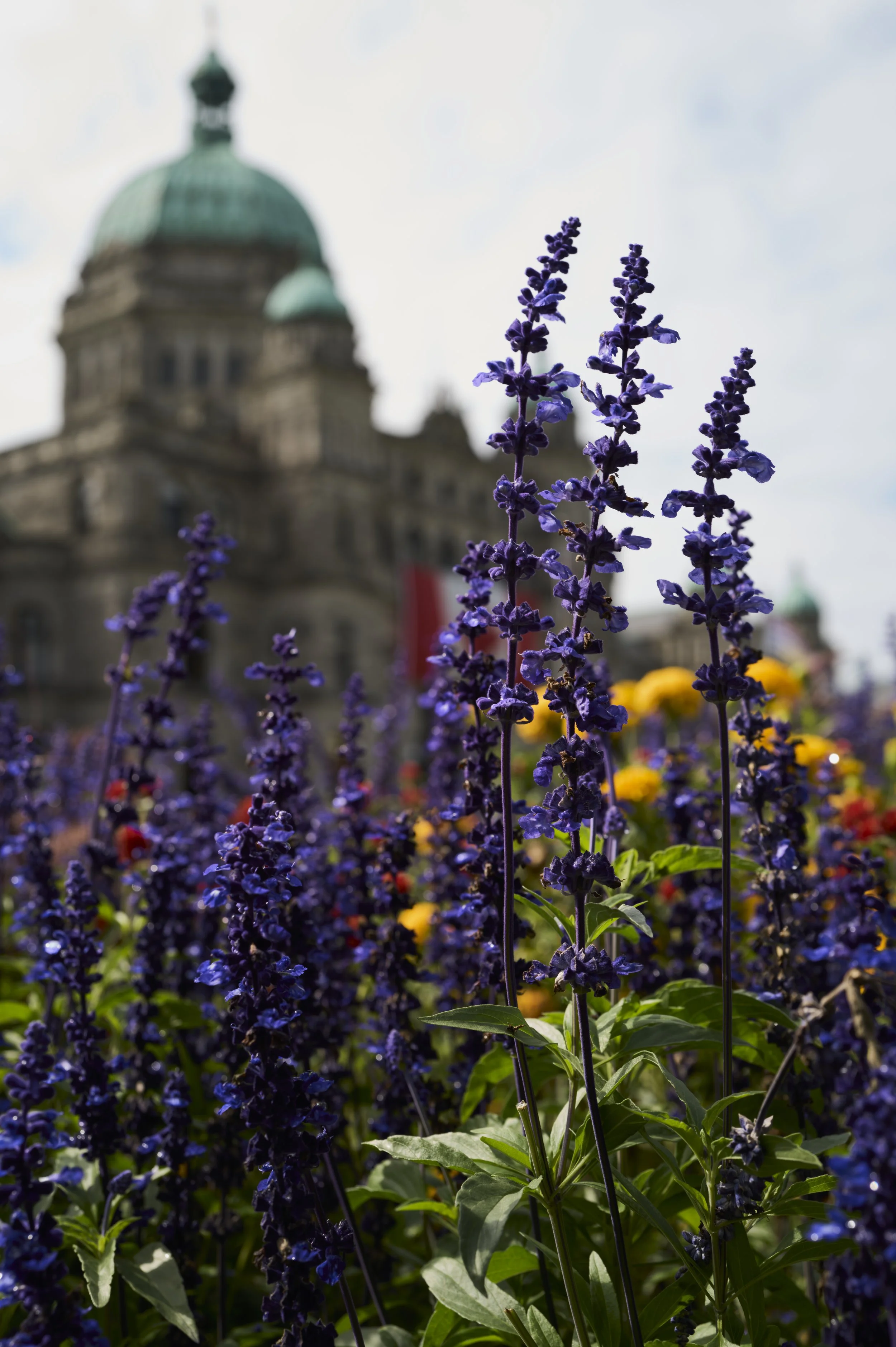 250913-15-32-20-LEICA Q3 43-T1012021-EDIT.jpg