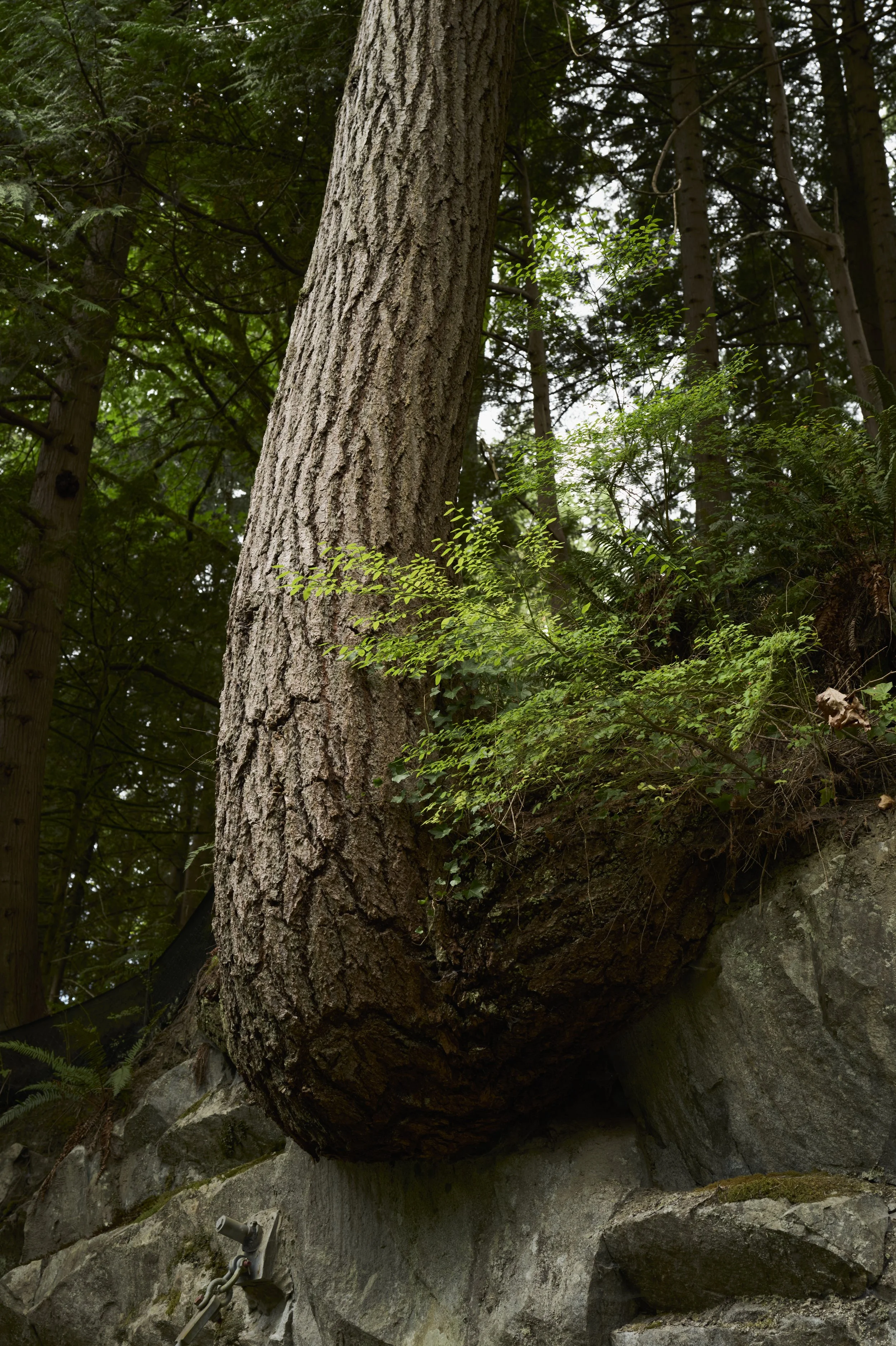 250912-14-03-12-LEICA Q3 43-T1011969-EDIT.jpg