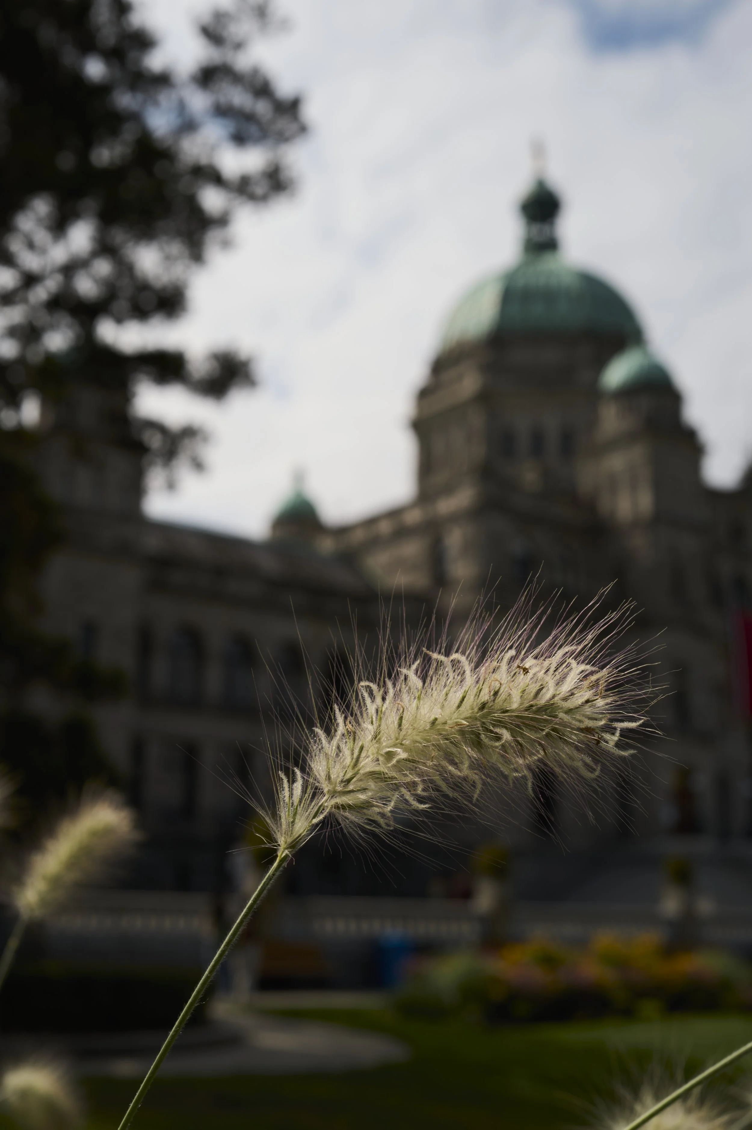 250913-15-33-20-LEICA Q3 43-T1012028-EDIT.jpg