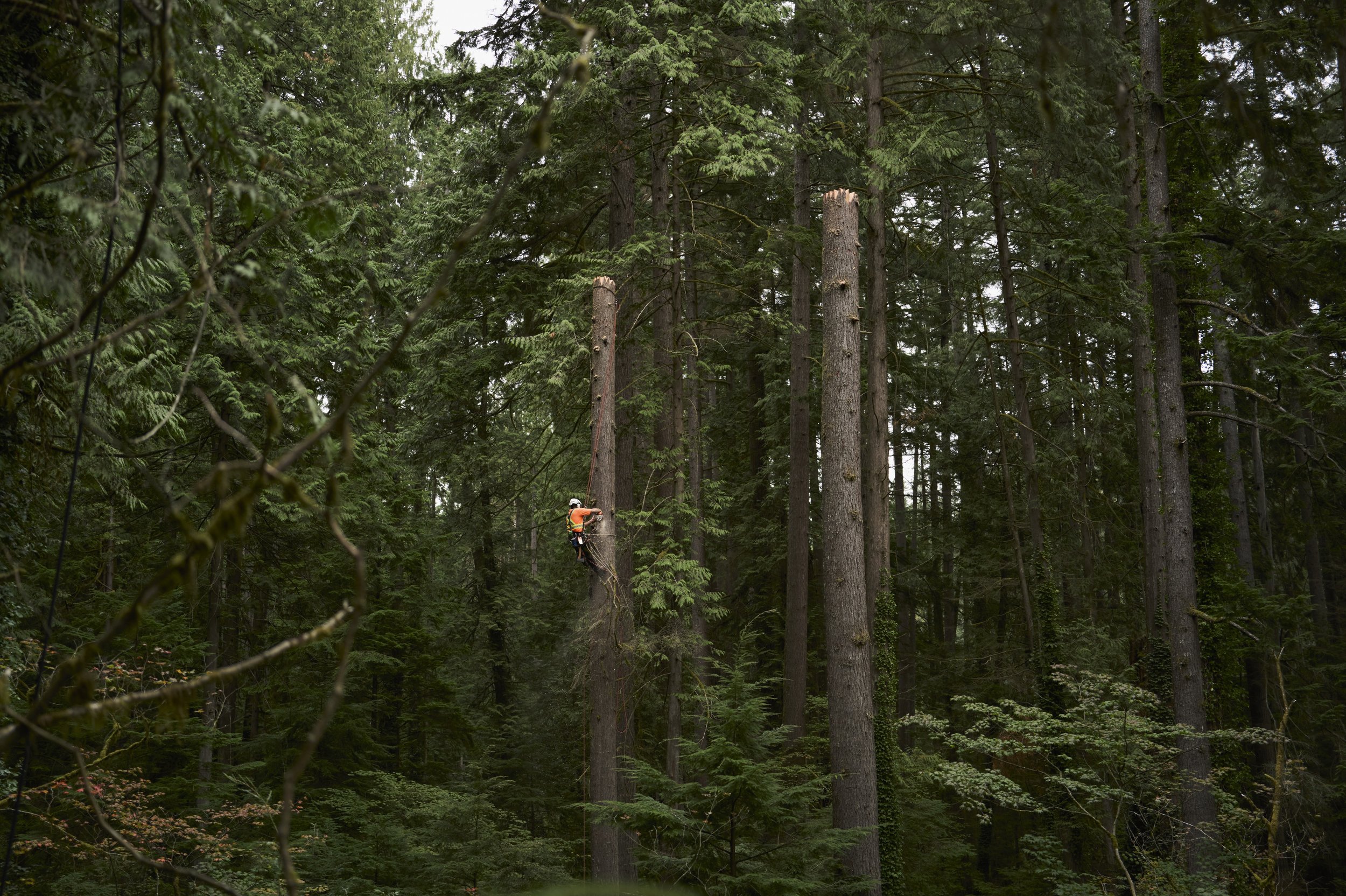 250912-12-58-12-LEICA Q3 43-T1011924-EDIT.jpg