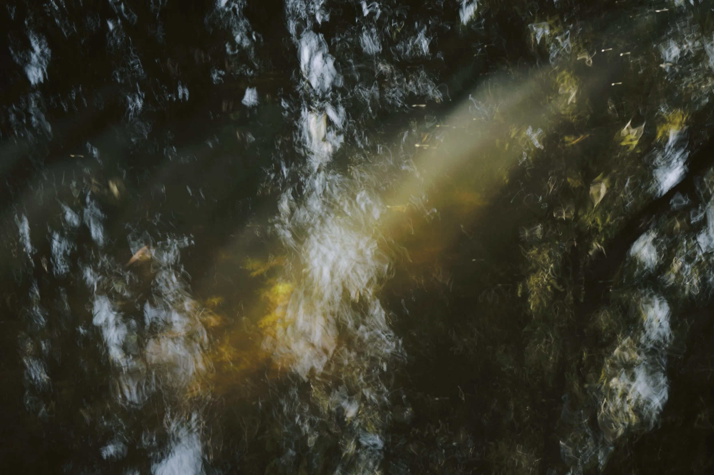 250913-17-15-17-LEICA Q3 43-T1012136-EDIT 1.jpg