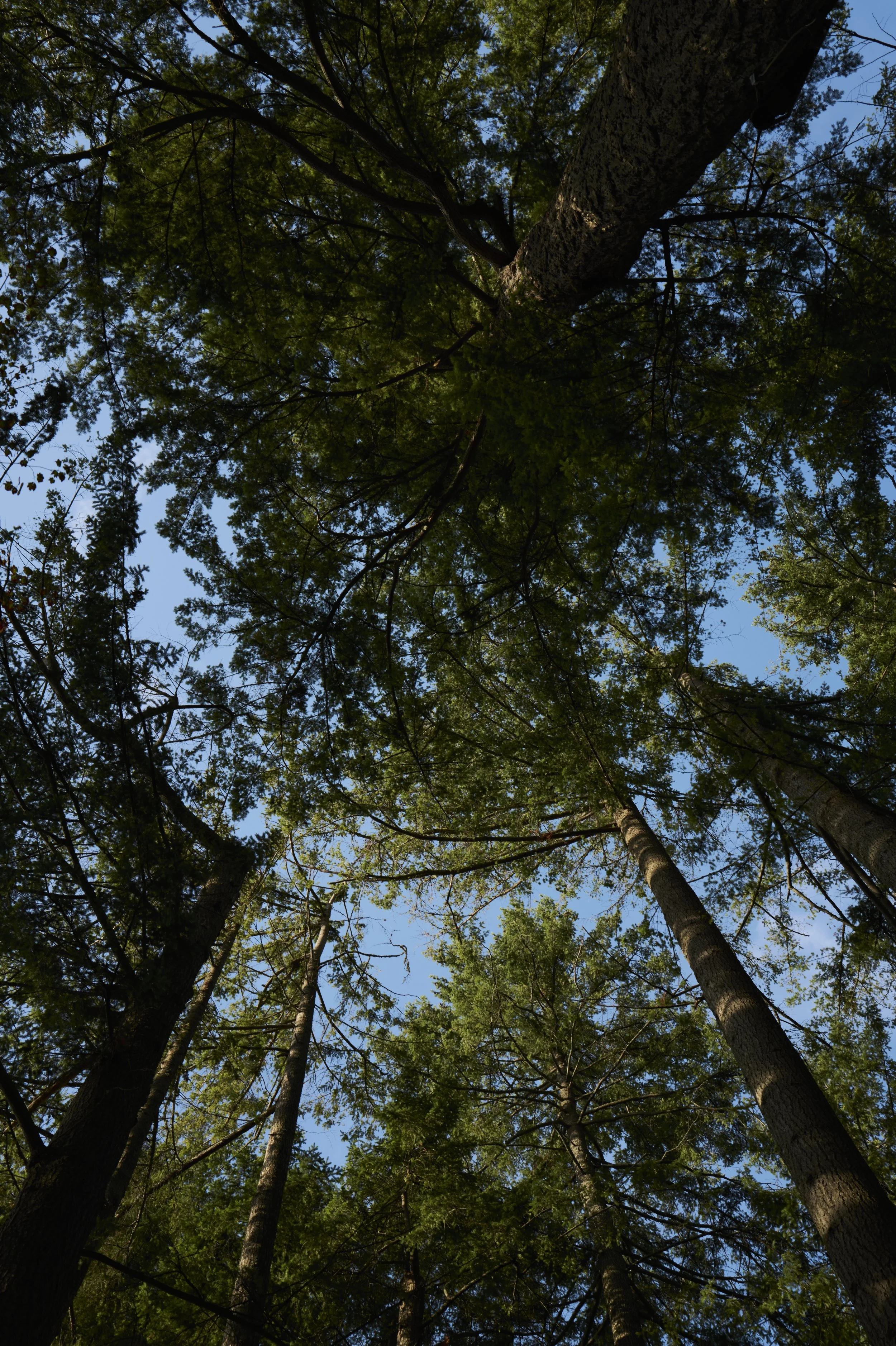 250912-11-52-43-LEICA Q3 43-T1011869-EDIT.jpg