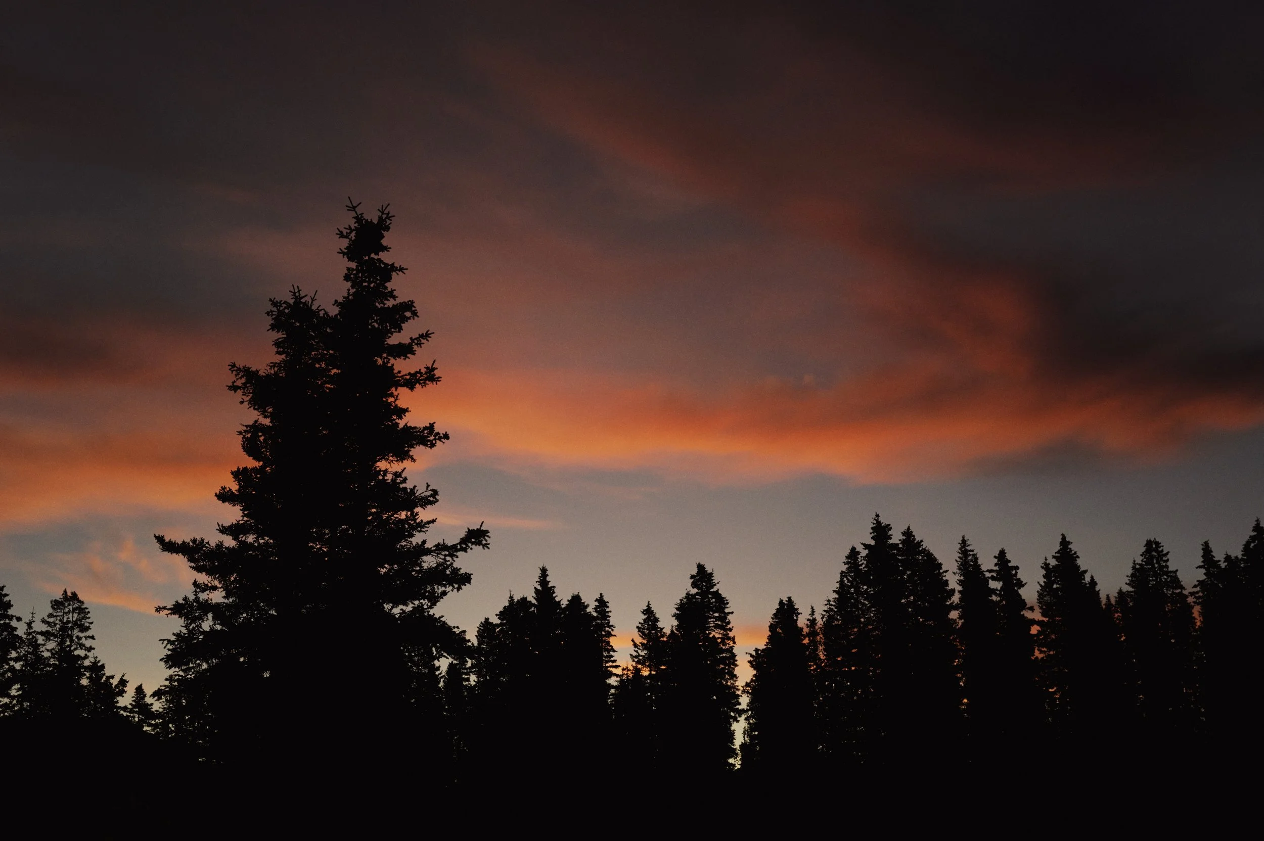 251010-08-47-40-LEICA Q3 43-T1020948-EDIT.jpg