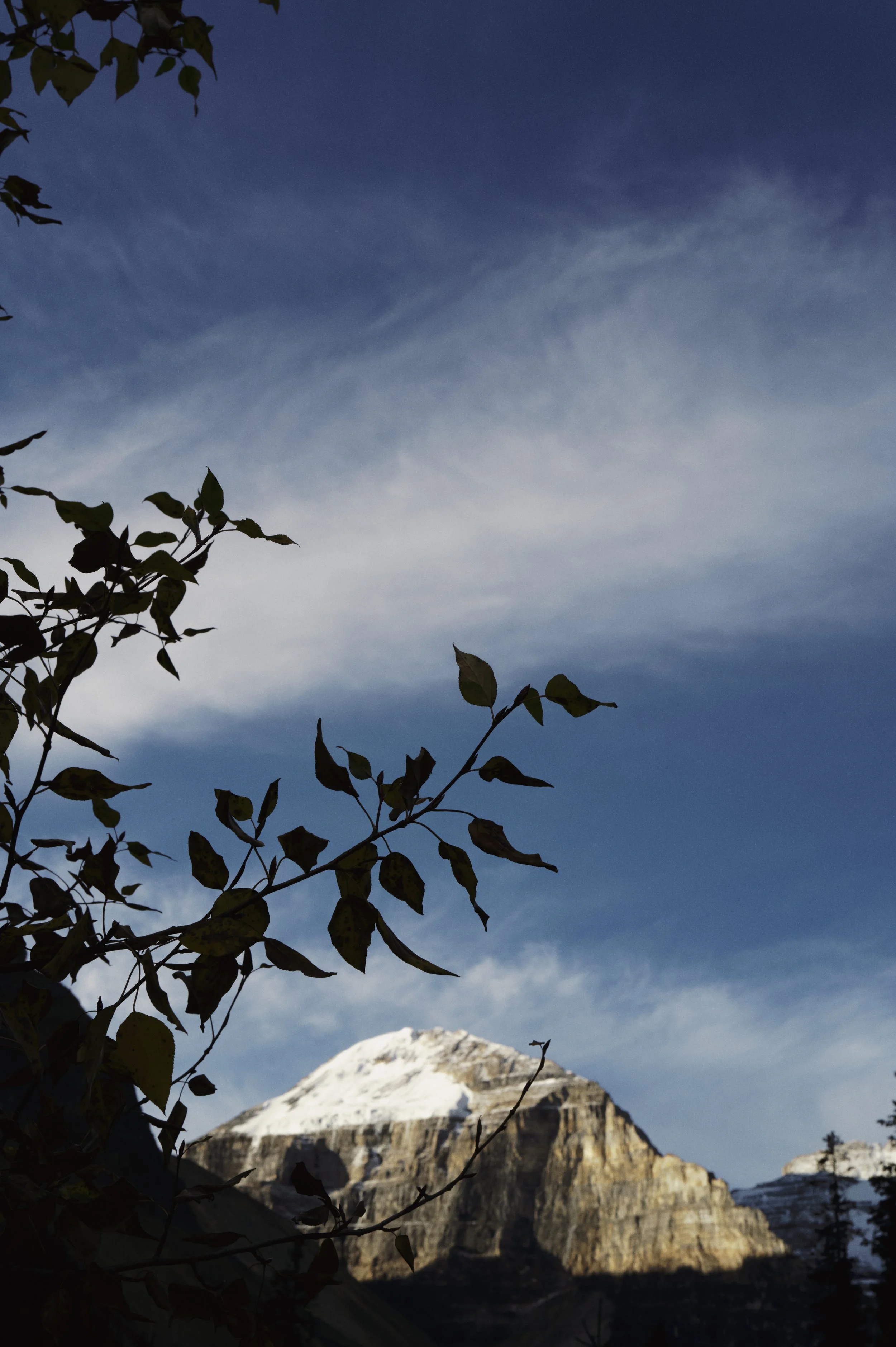 251010-10-10-33-LEICA Q3 43-T1021056-EDIT.jpg