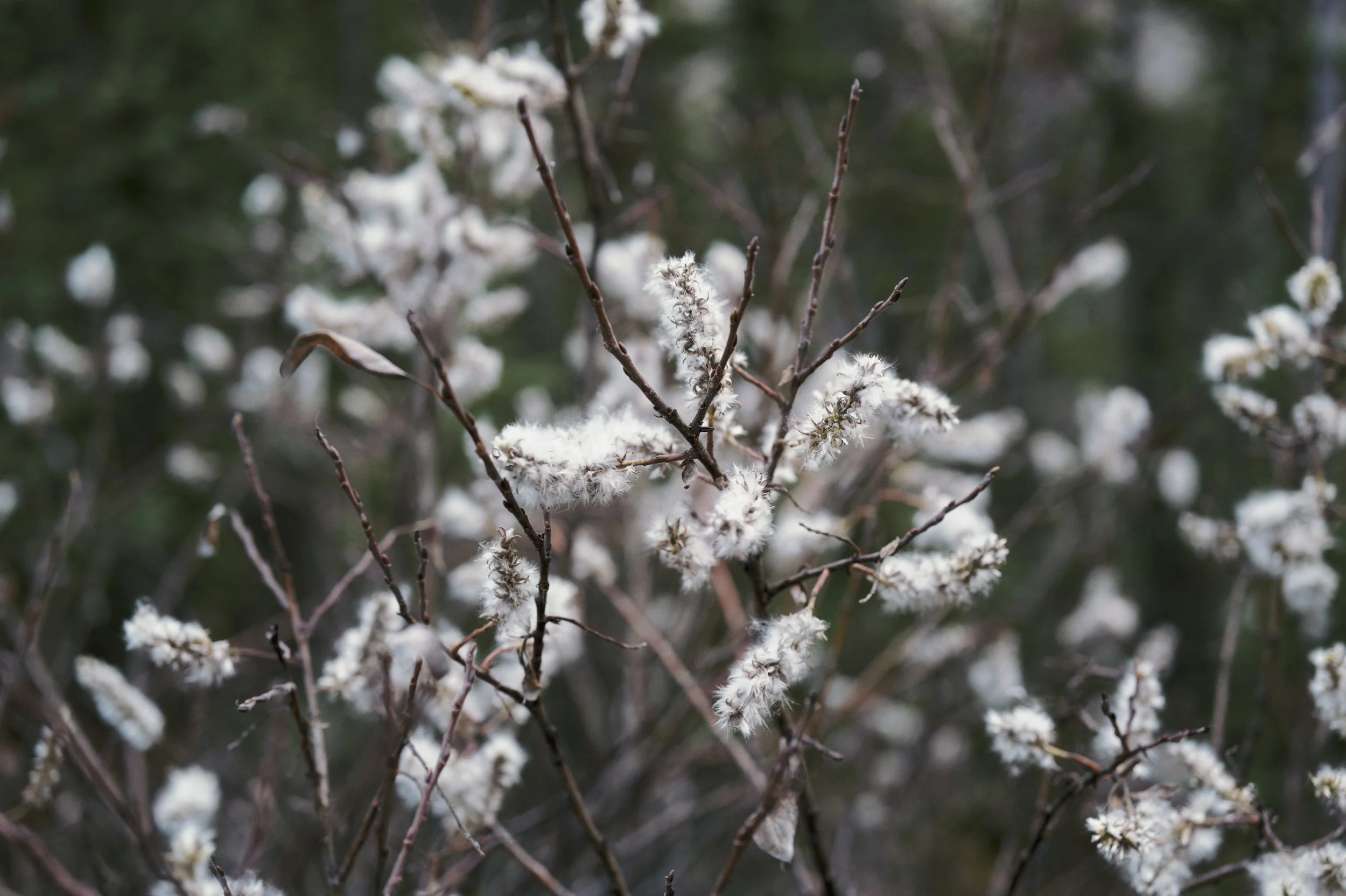 251010-10-21-45-LEICA Q3 43-T1021061-EDIT.jpg