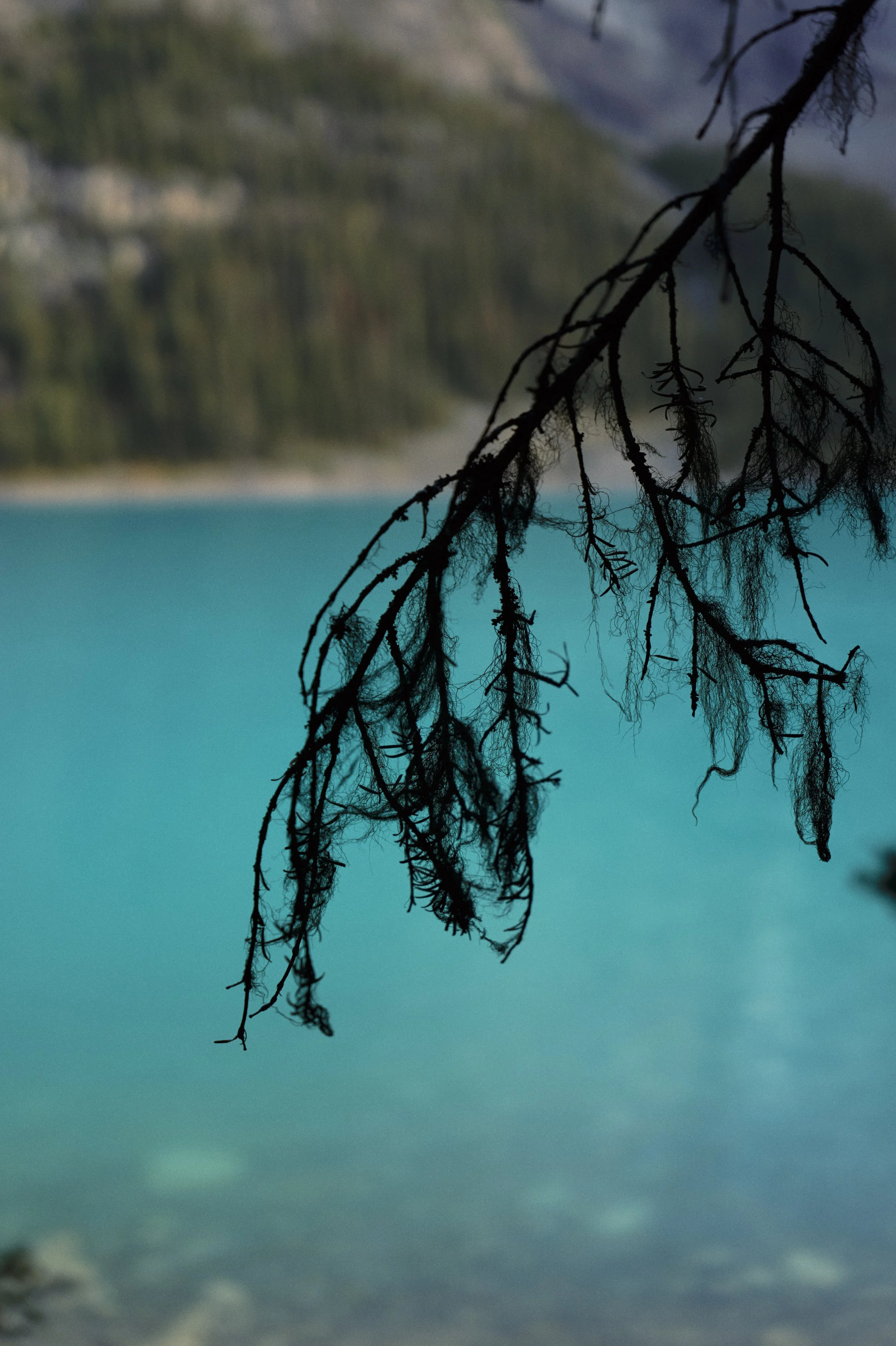 251010-16-39-25-LEICA Q3 43-T1021169-EDIT.jpg