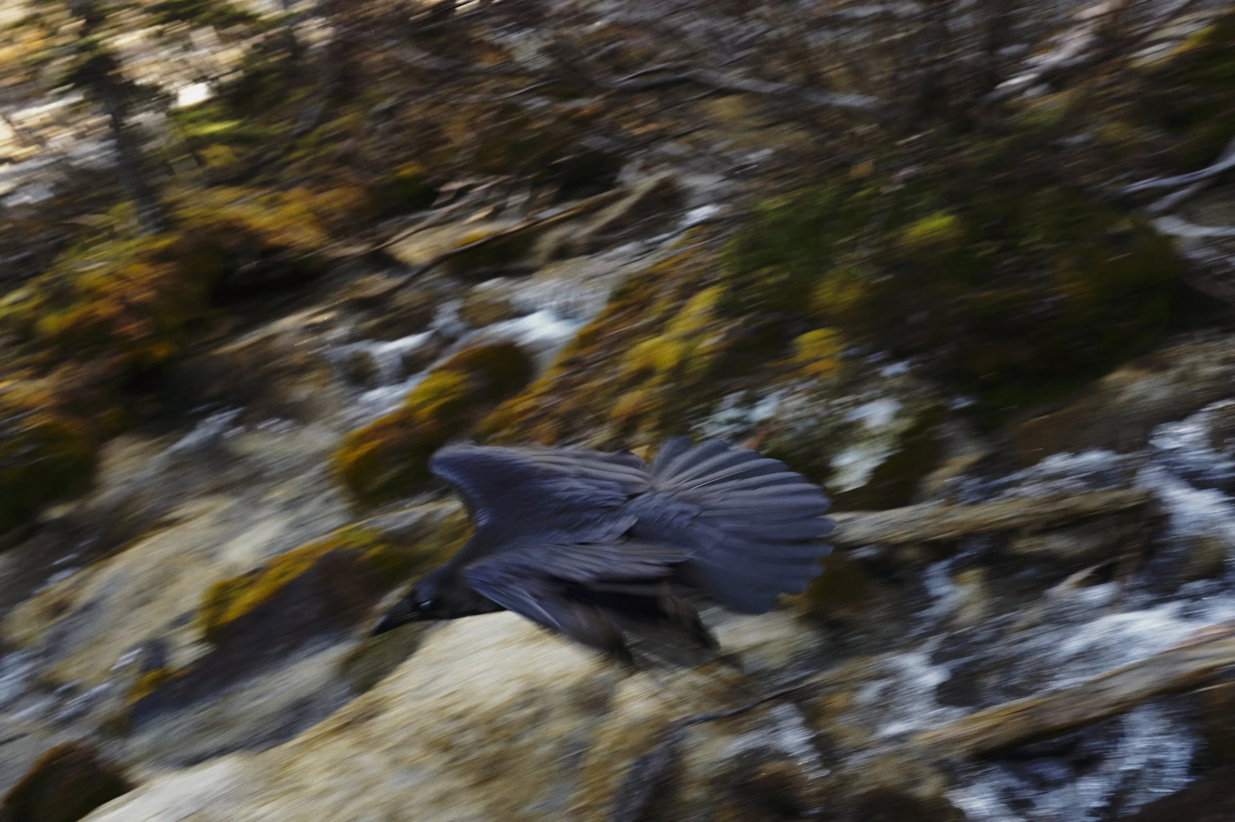 251010-16-55-31-LEICA Q3 43-T1021191-EDIT.jpg