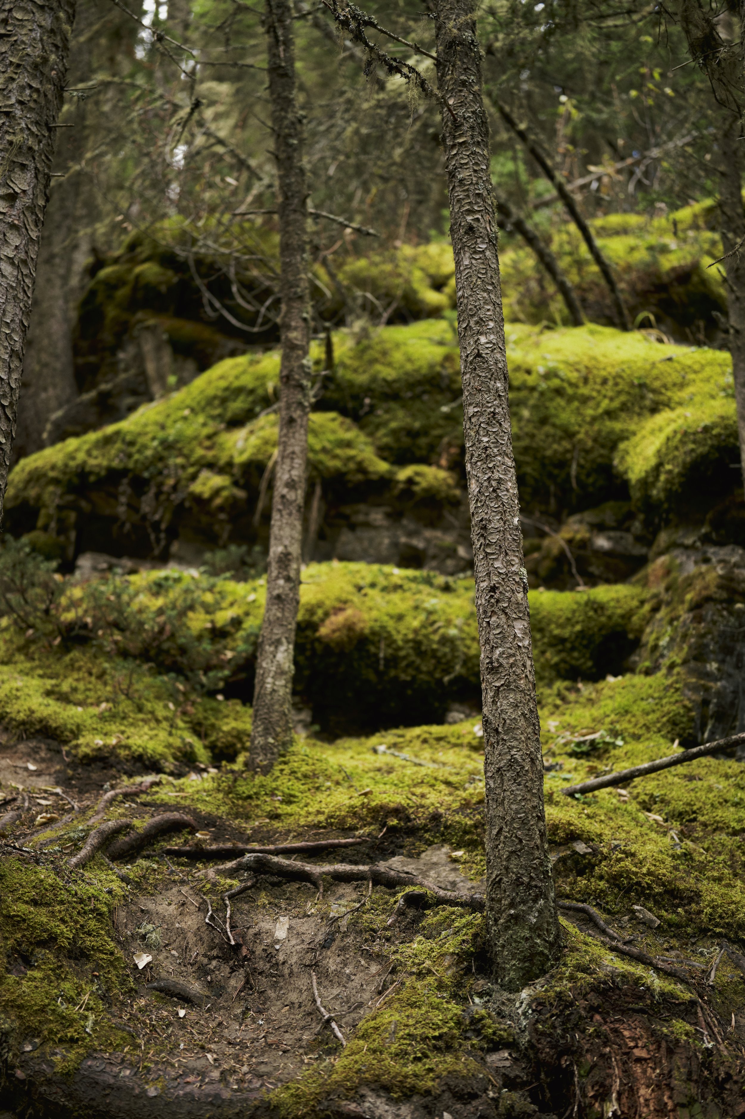 251011-13-24-57-LEICA Q3 43-T1021243-EDIT.jpg