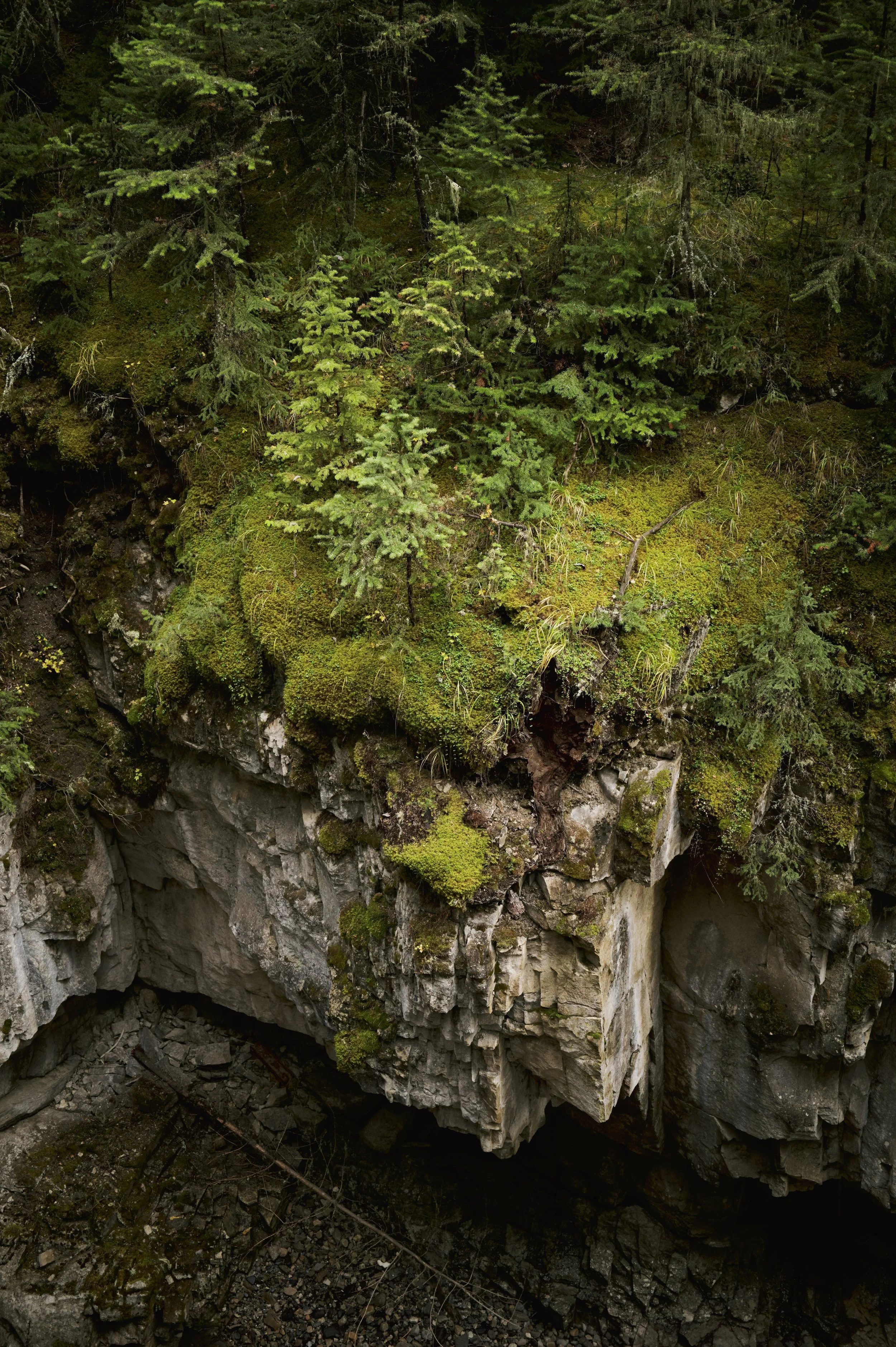 251011-13-28-48-LEICA Q3 43-T1021247-EDIT.jpg