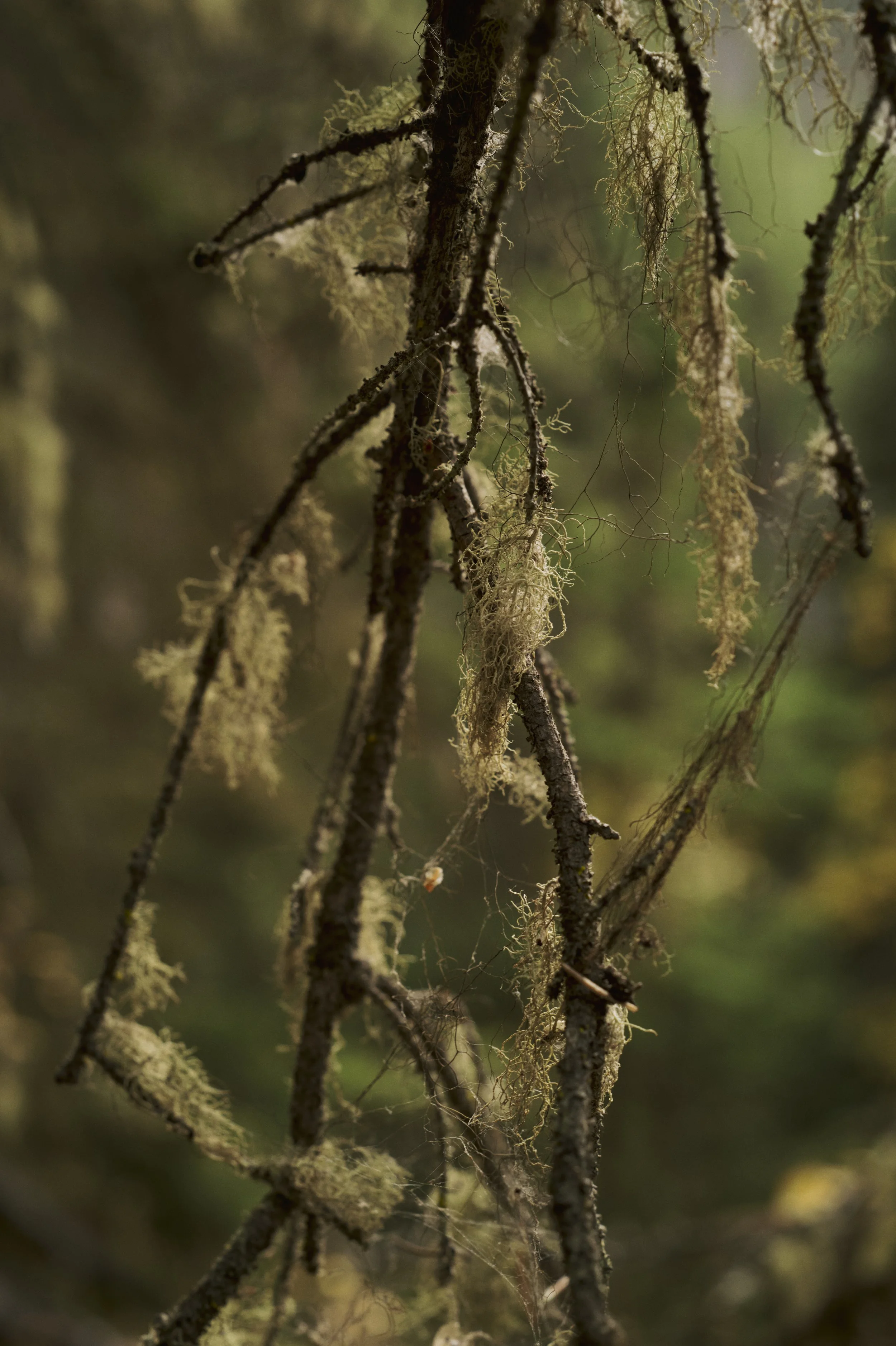 251011-14-00-41-LEICA Q3 43-T1021319-EDIT.jpg