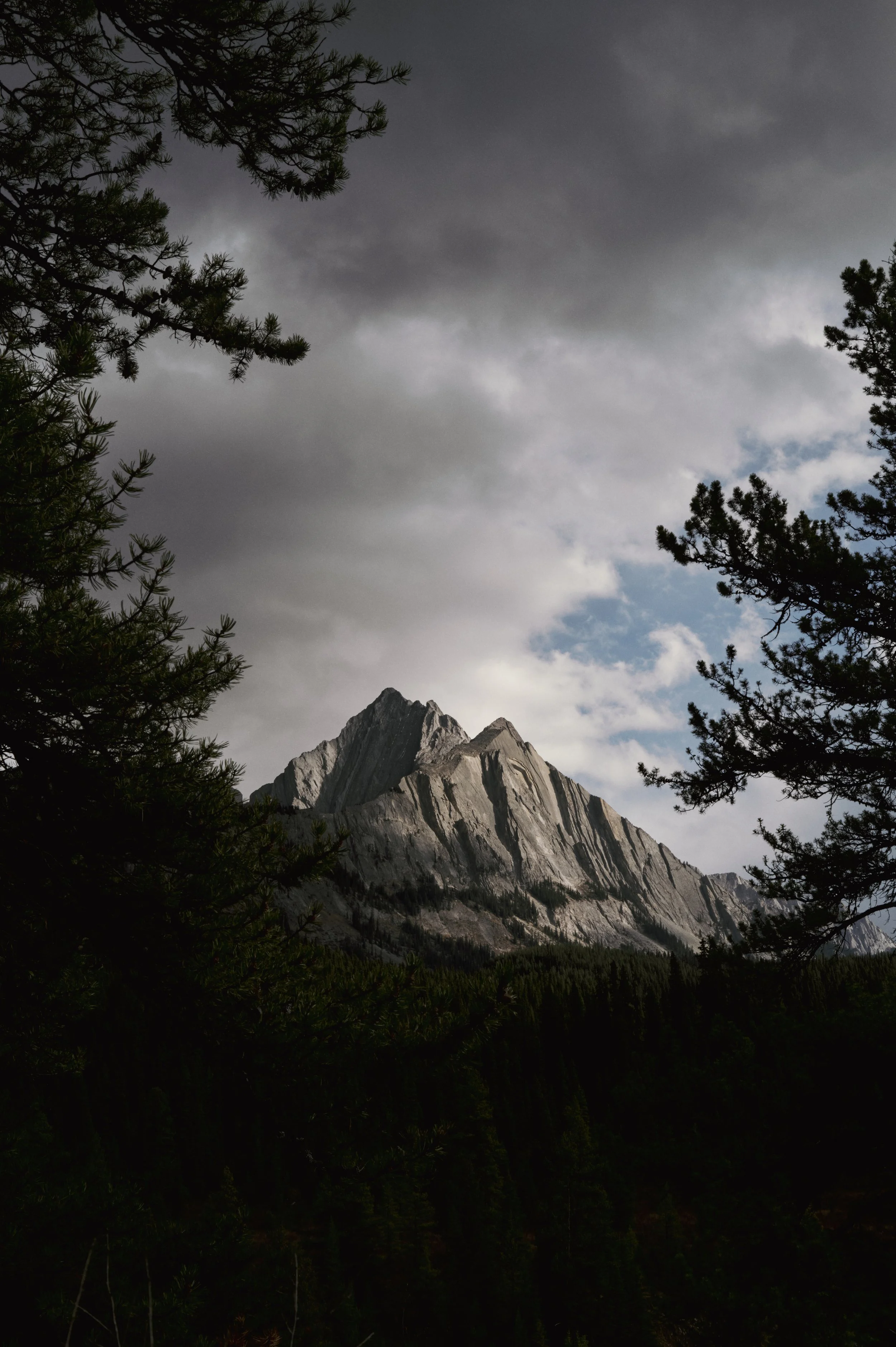 251011-15-19-39-LEICA Q3 43-T1021385-EDIT.jpg