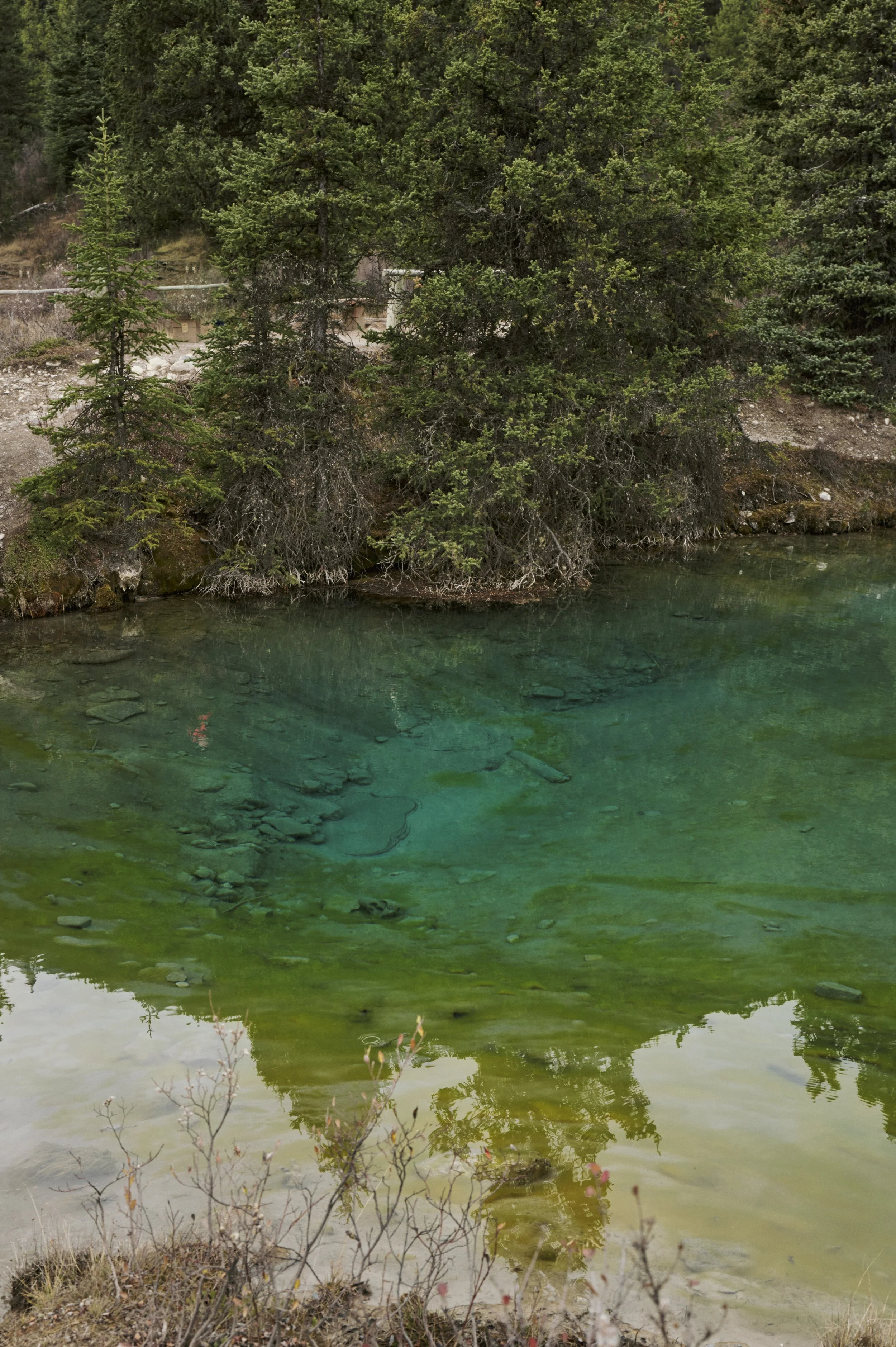 251011-15-49-25-LEICA Q3 43-T1021417-EDIT.jpg