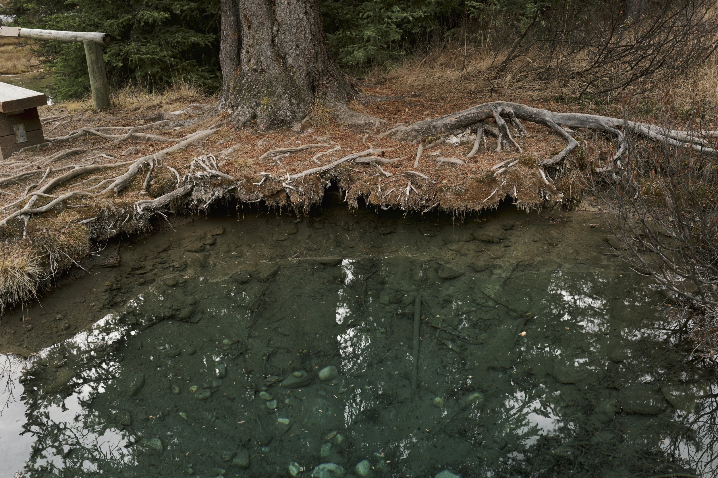 251011-15-42-46-LEICA Q3 43-T1021406-EDIT.jpg