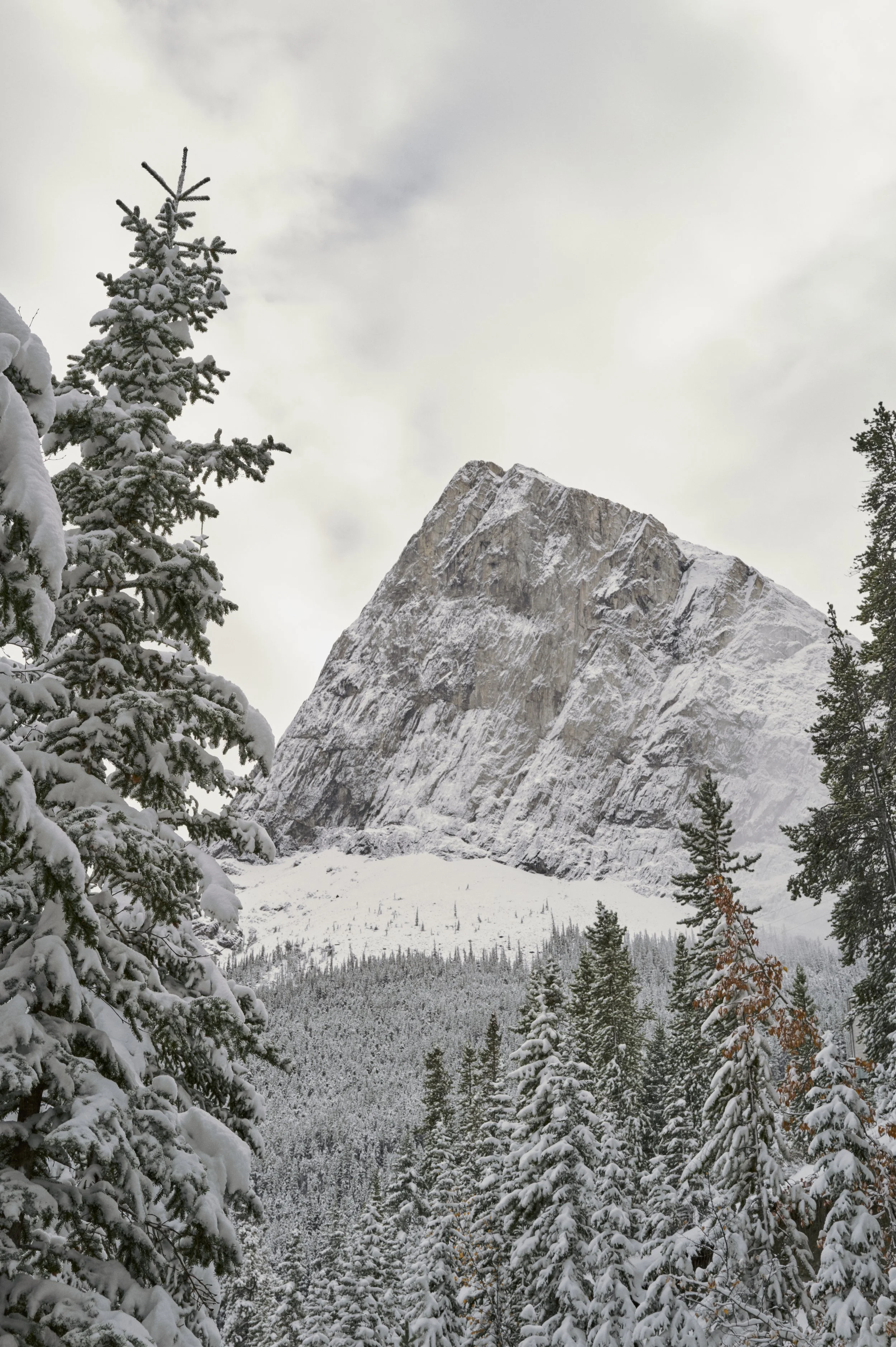 251012-15-22-20-LEICA Q3 43-T1021466-EDIT.jpg