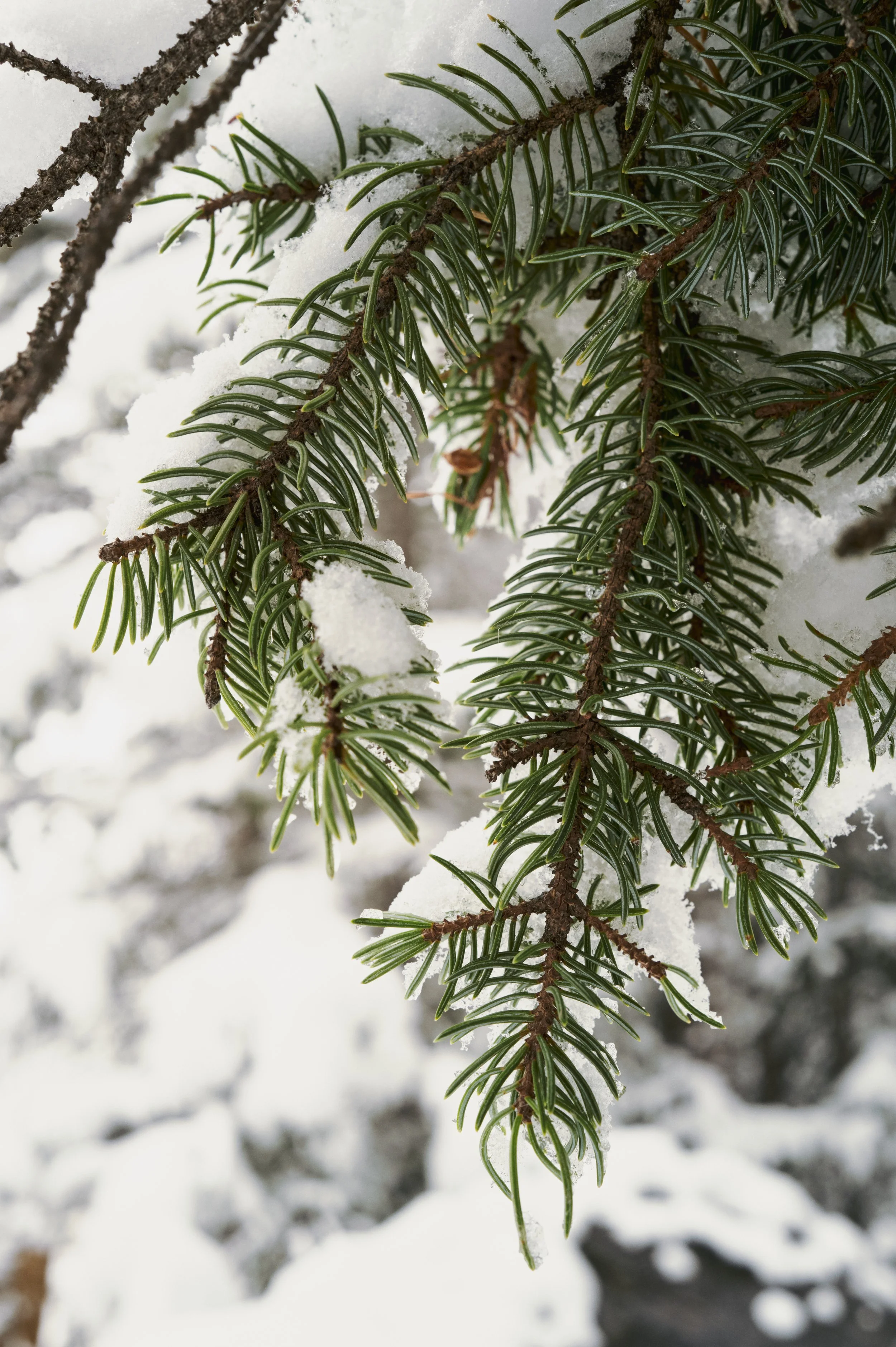 251012-15-36-01-LEICA Q3 43-T1021488-EDIT.jpg