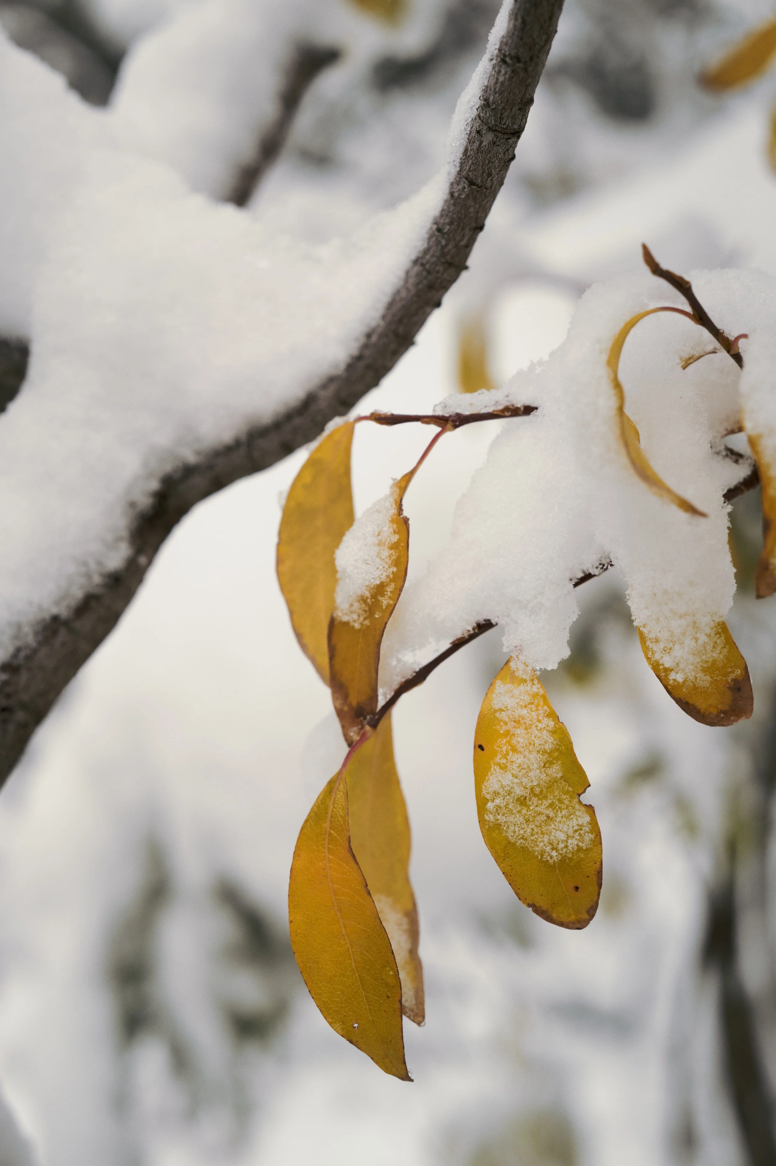 251012-15-50-09-LEICA Q3 43-T1021534-EDIT.jpg