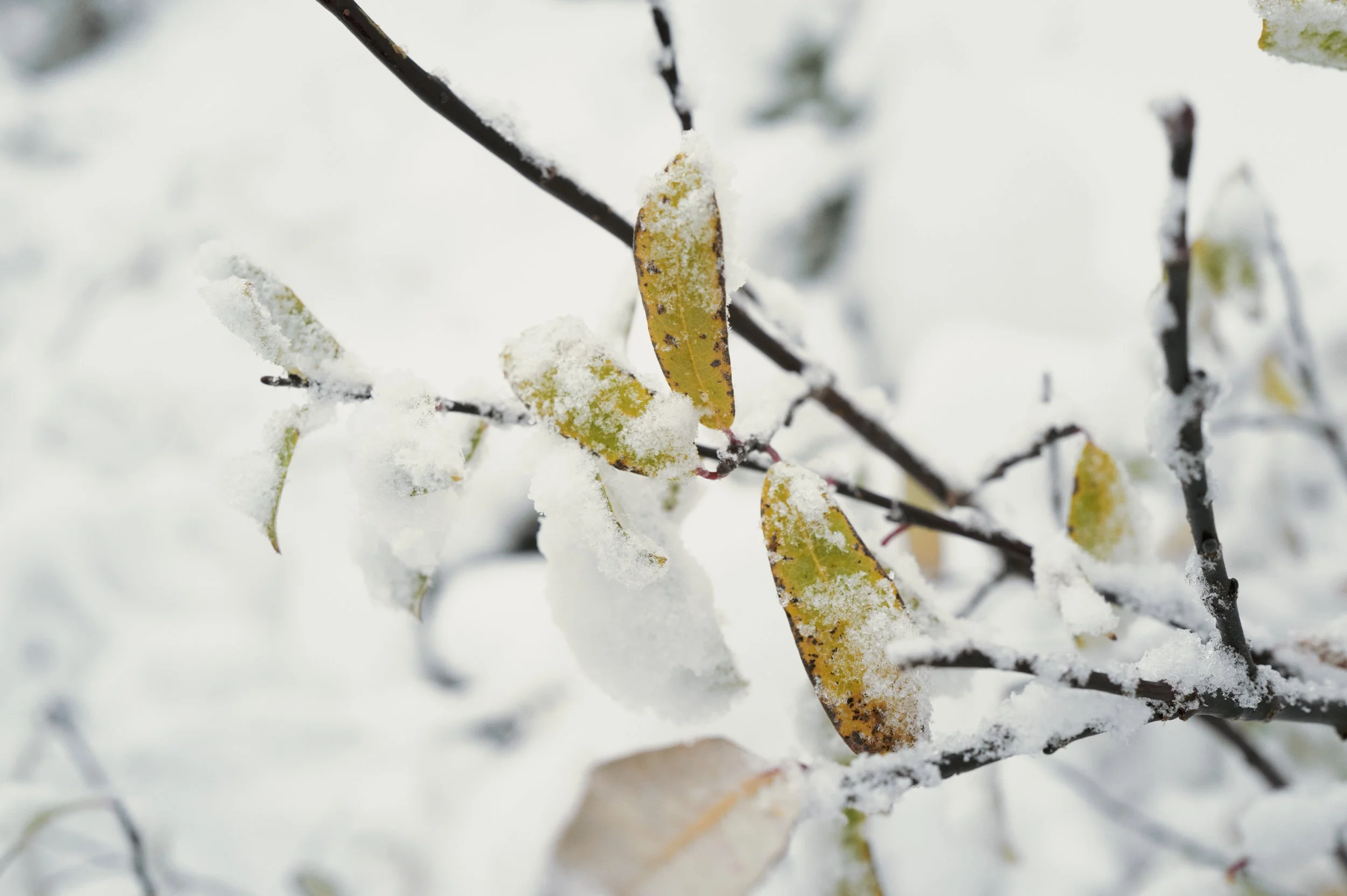 251012-15-52-57-LEICA Q3 43-T1021543-EDIT.jpg